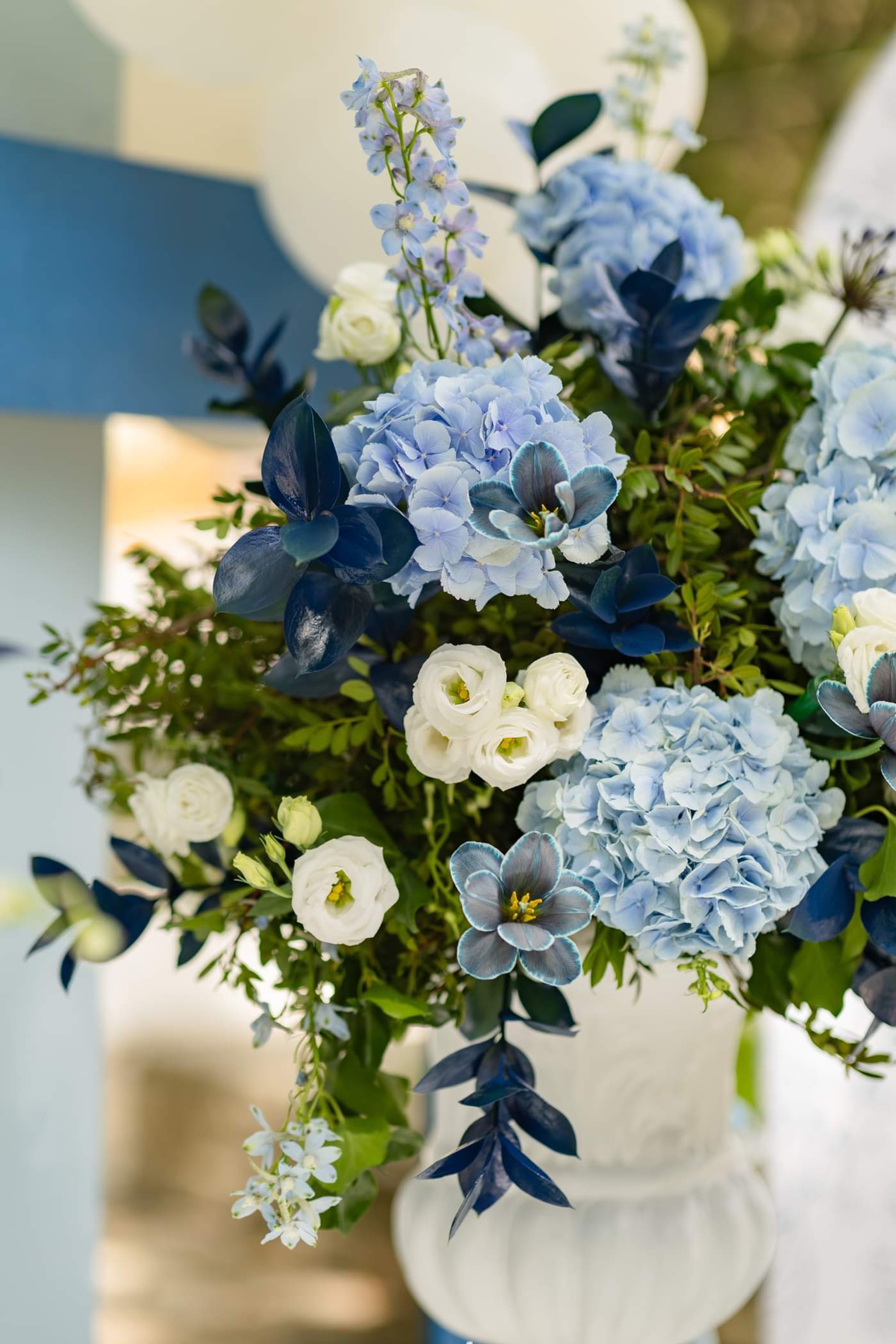 Argiris - Gallery Image 14