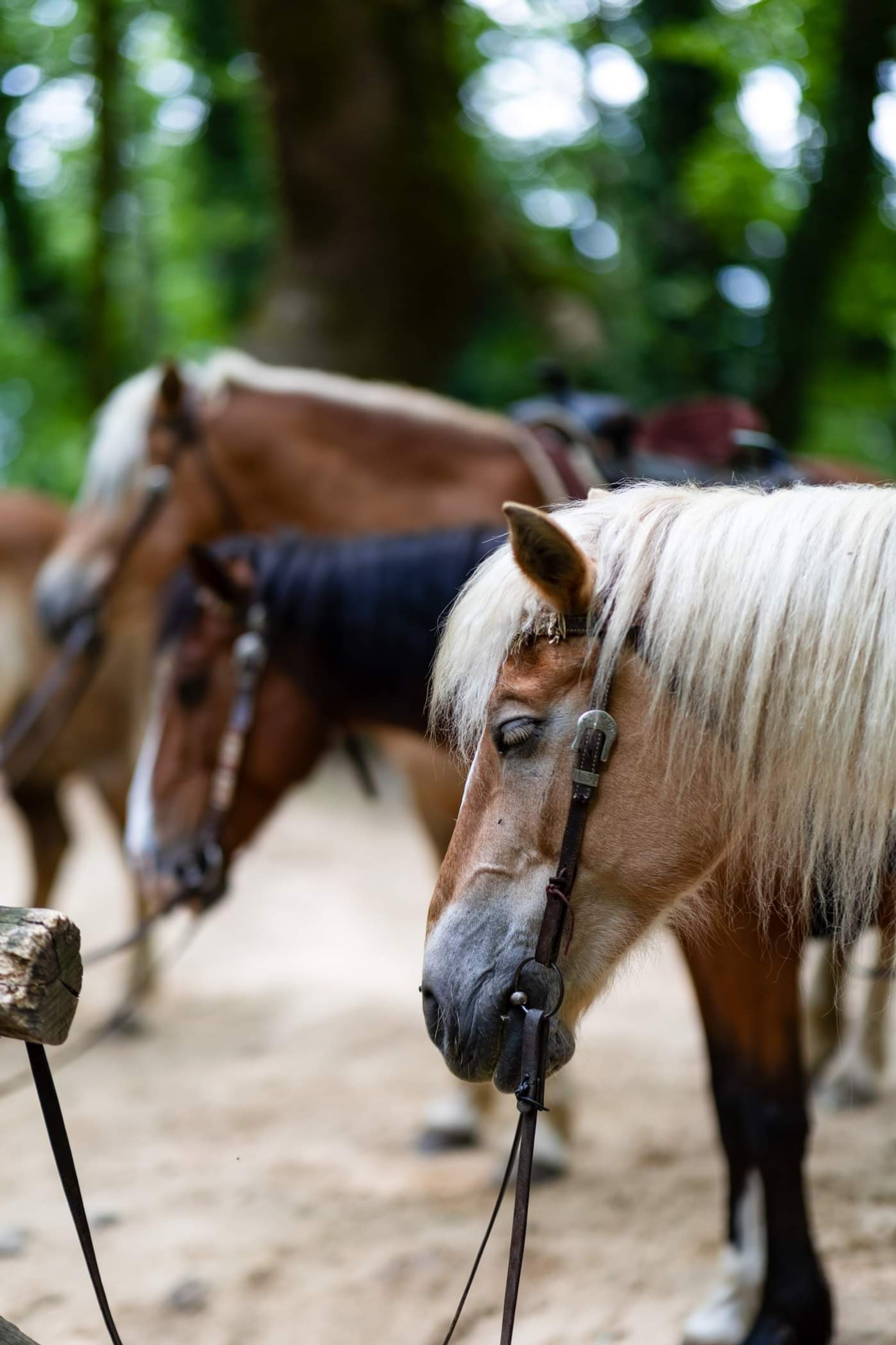 Argiris - Gallery Image 39