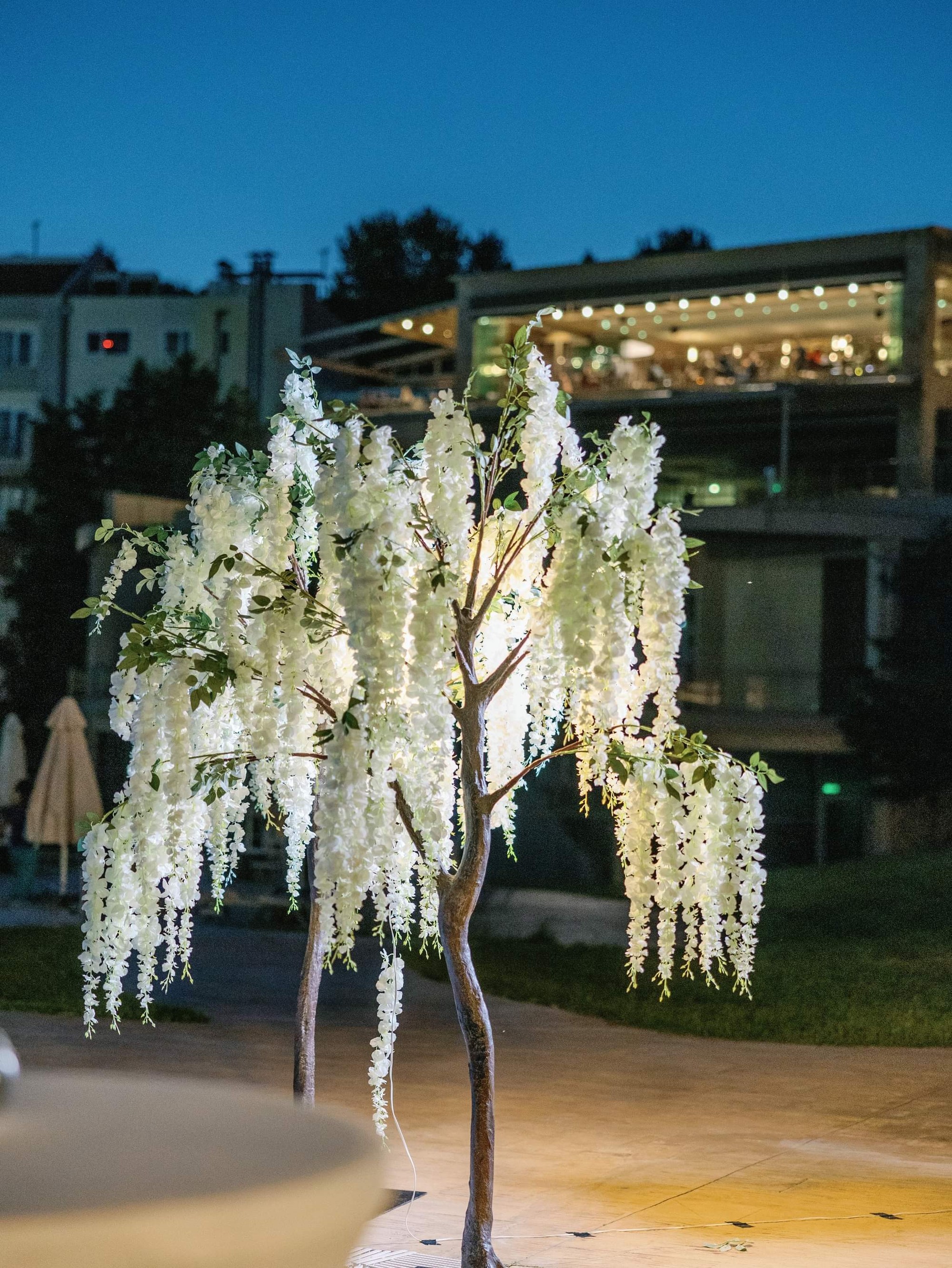 Zeki & Nikoleta - Gallery Image 28