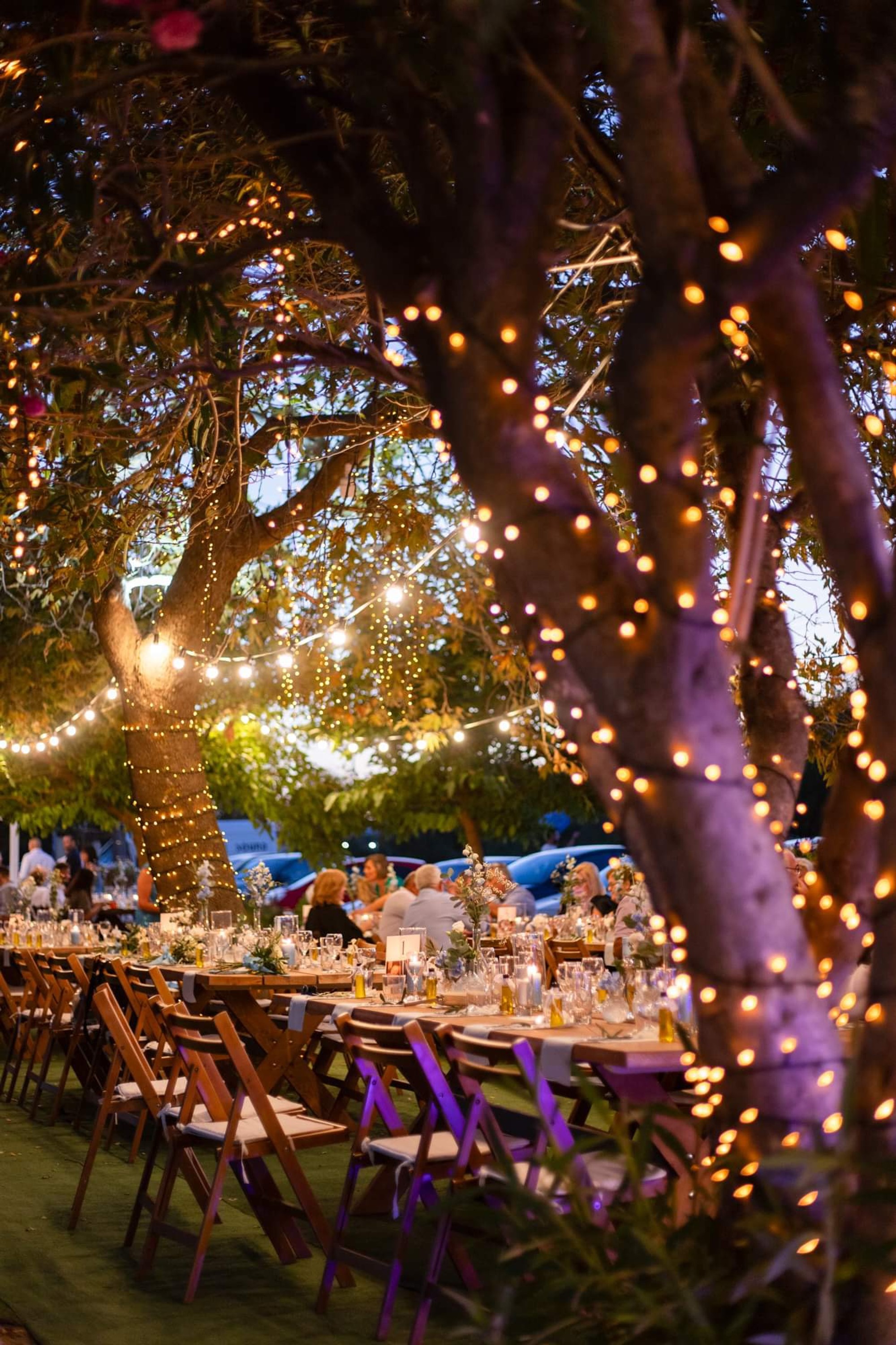 Alexandros & Tess - Gallery Image 37