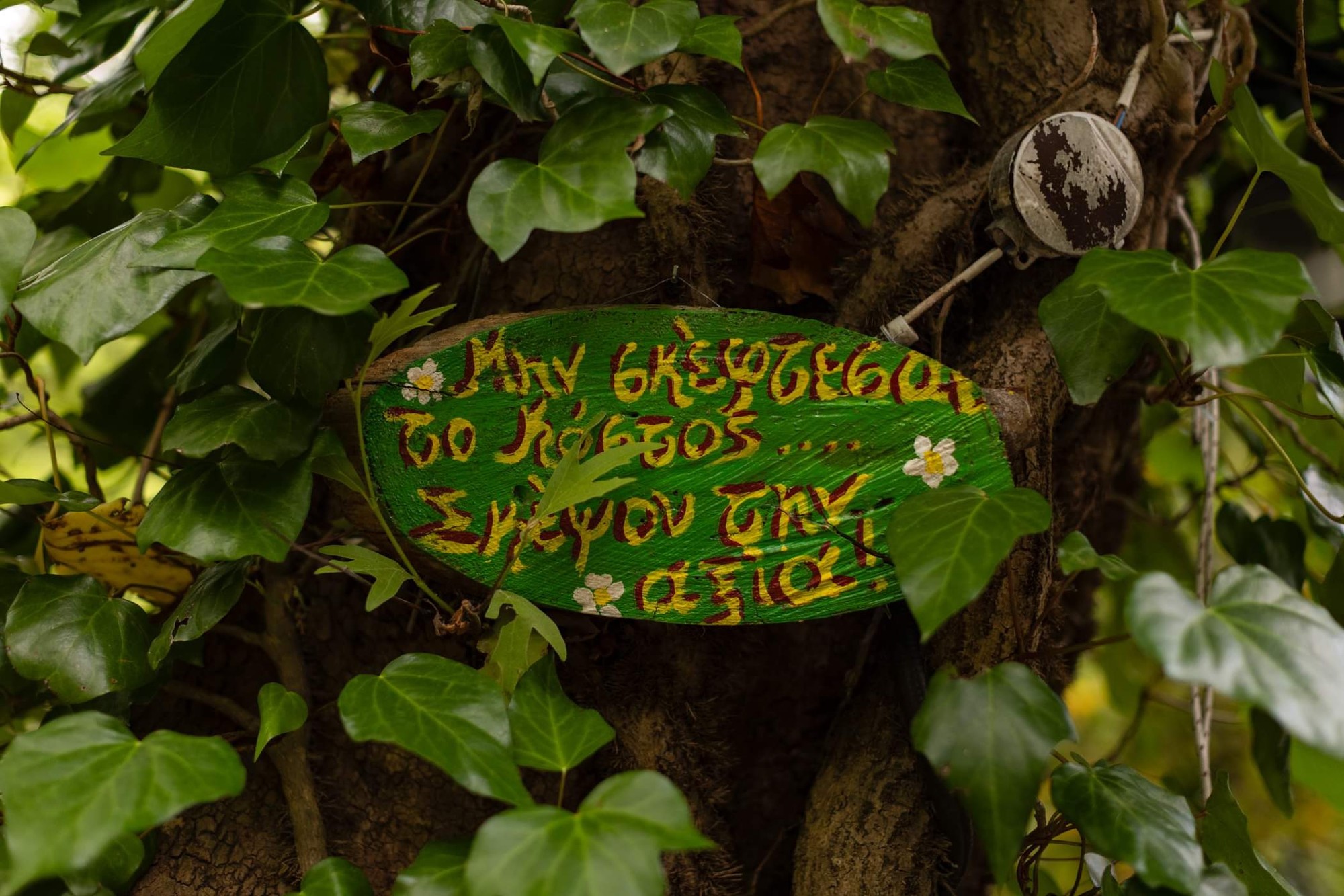 Argiris - Gallery Image 41