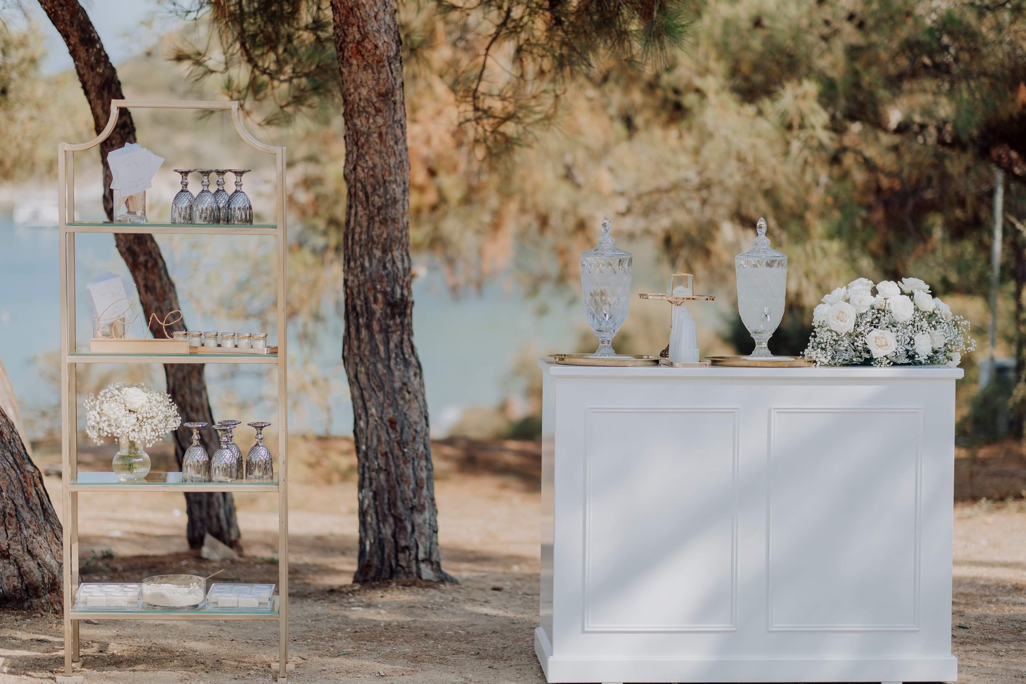 Gabriella & Panagiotis - Gallery Image 11