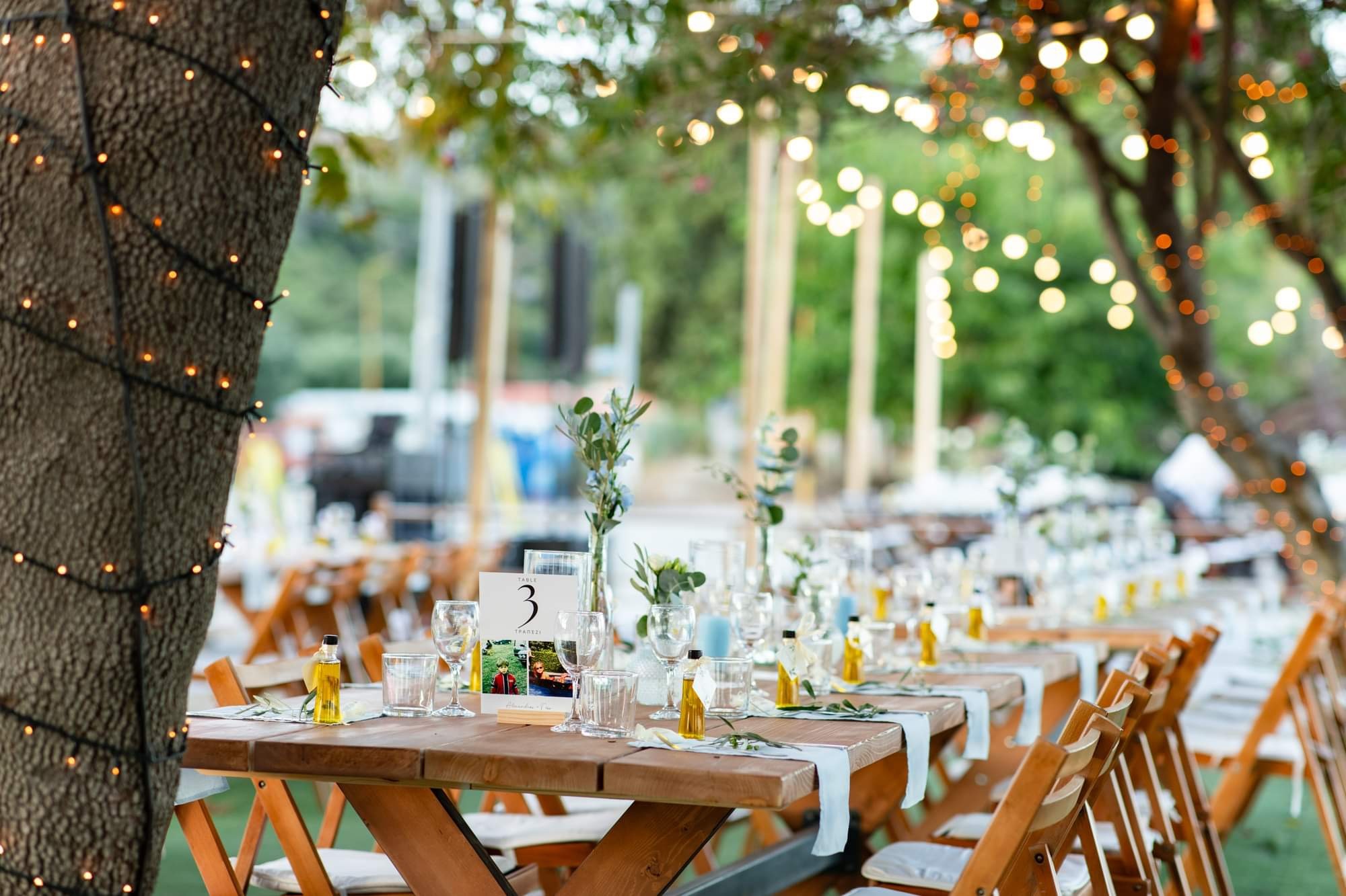 Alexandros & Tess - Gallery Image 25