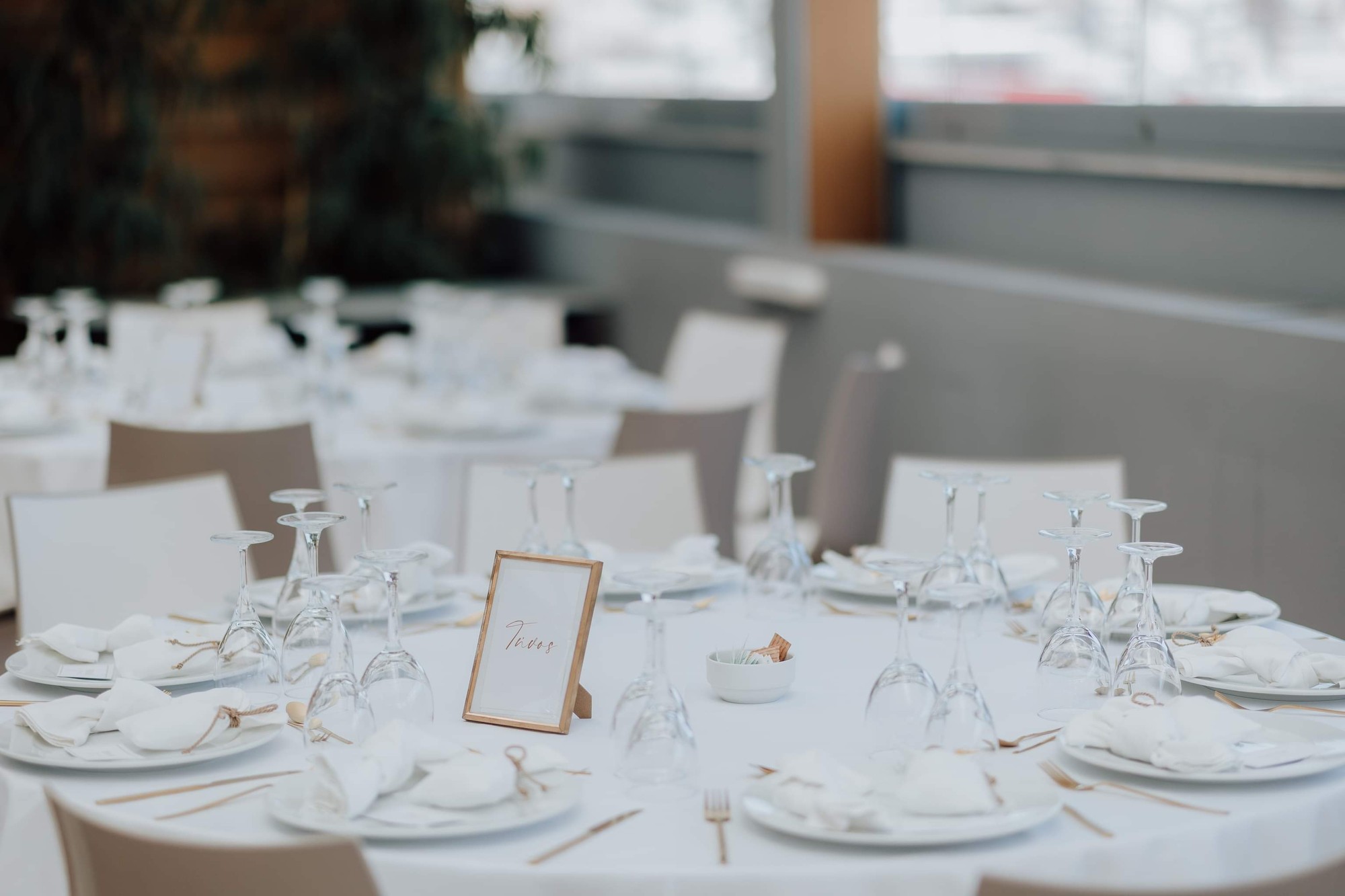 Gabriella & Panagiotis - Gallery Image 40