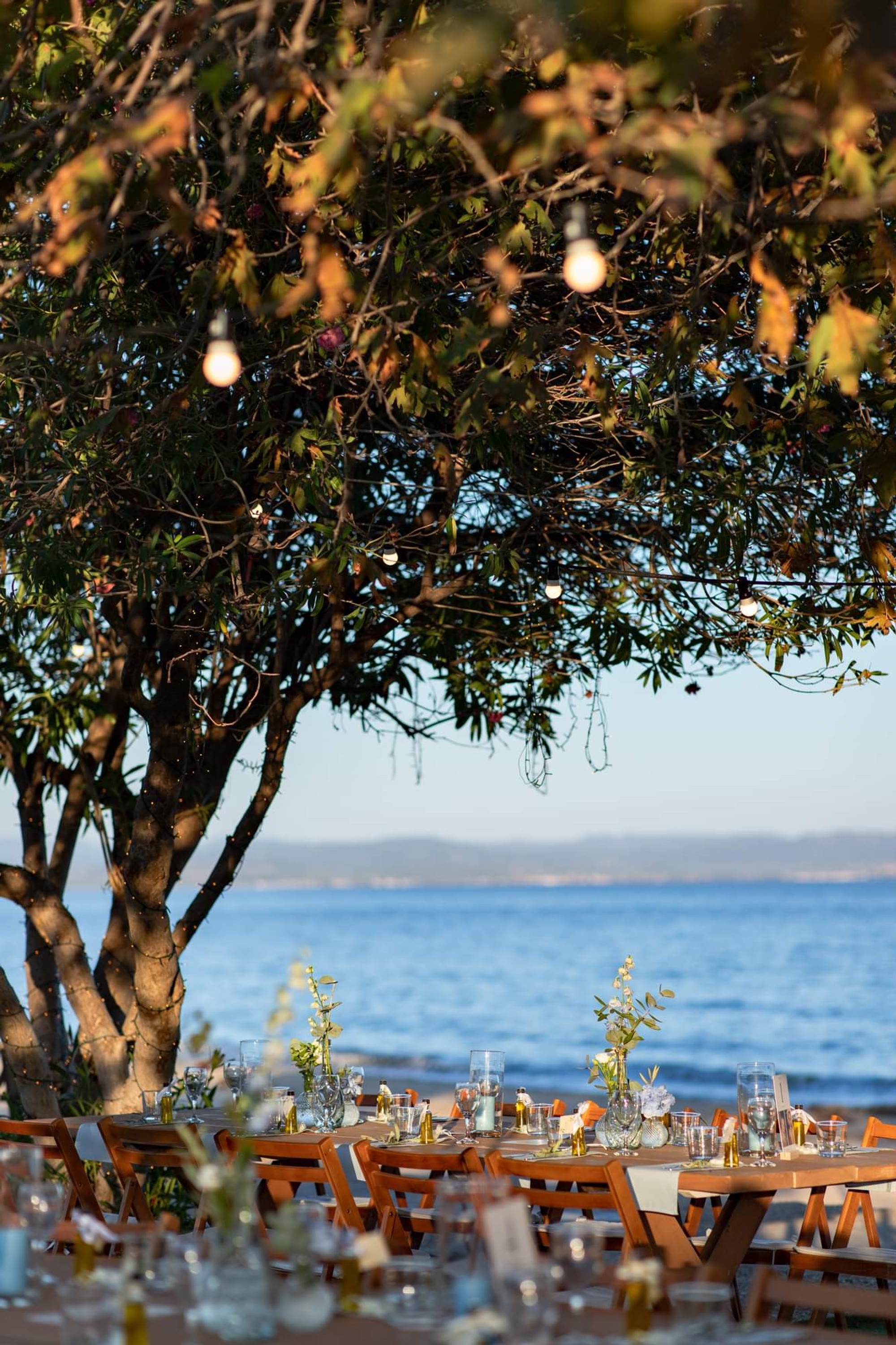 Alexandros & Tess - Gallery Image 23