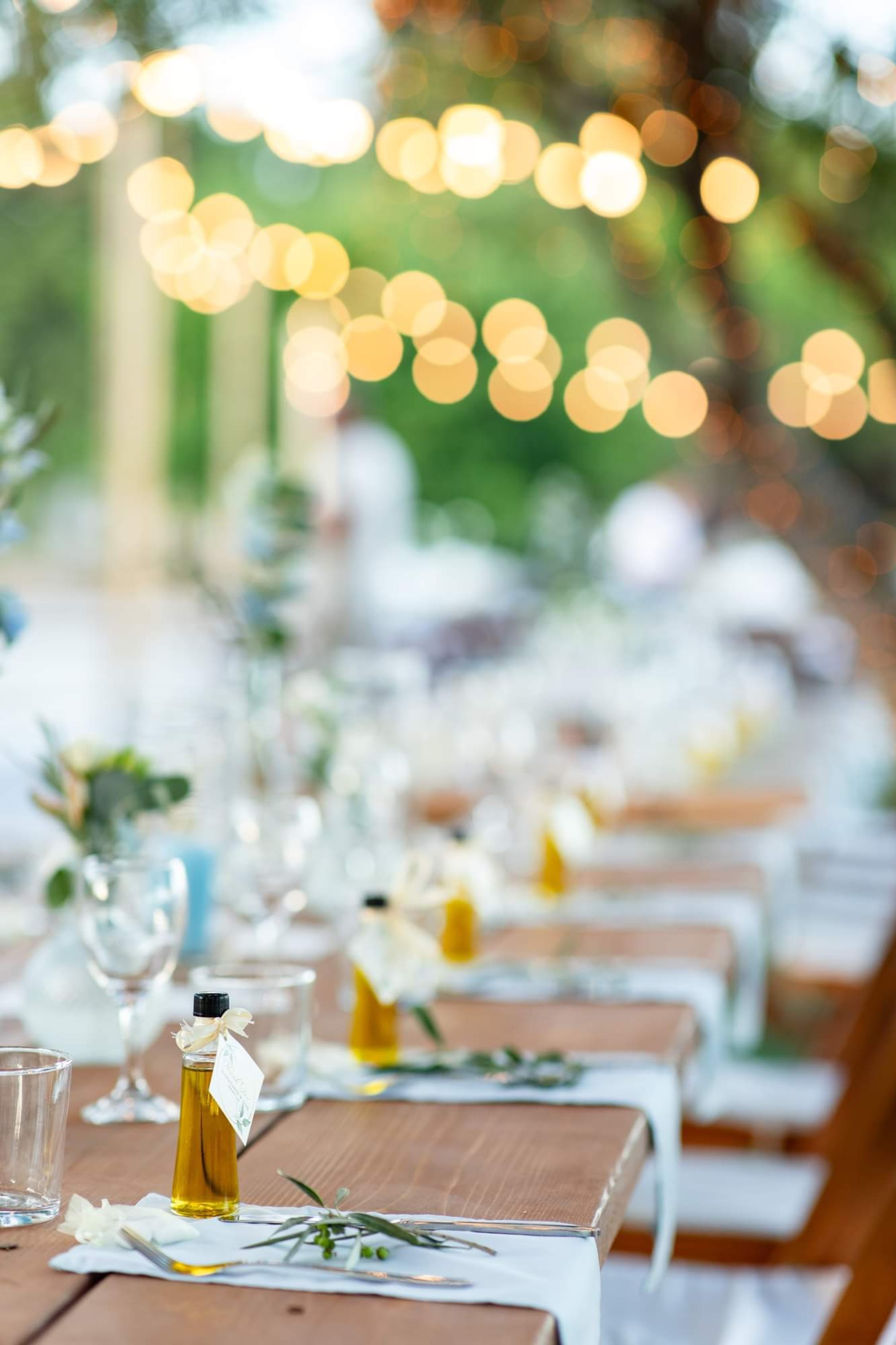 Alexandros & Tess - Gallery Image 24