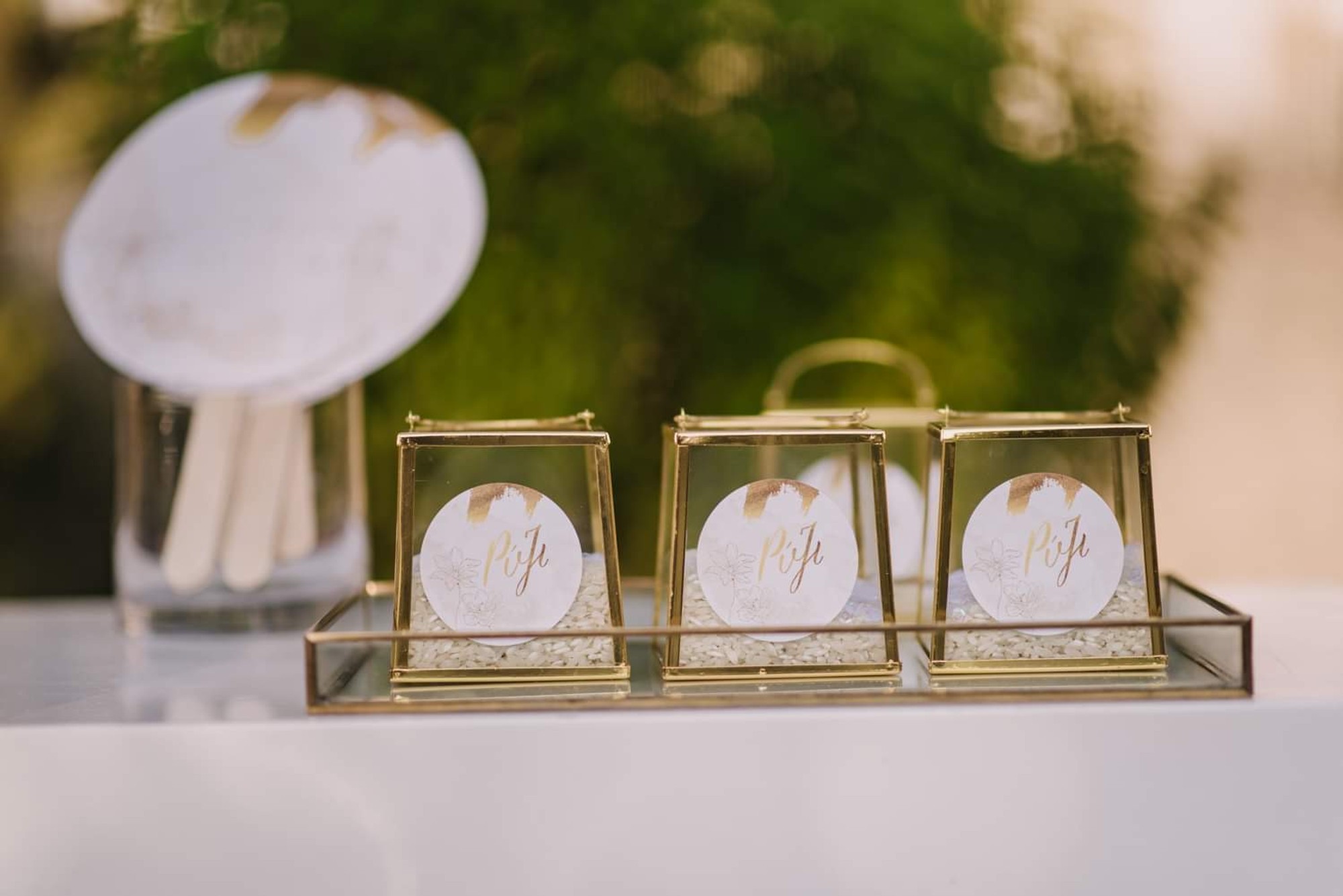 Stefanos & Chrystalia - Gallery Image 22