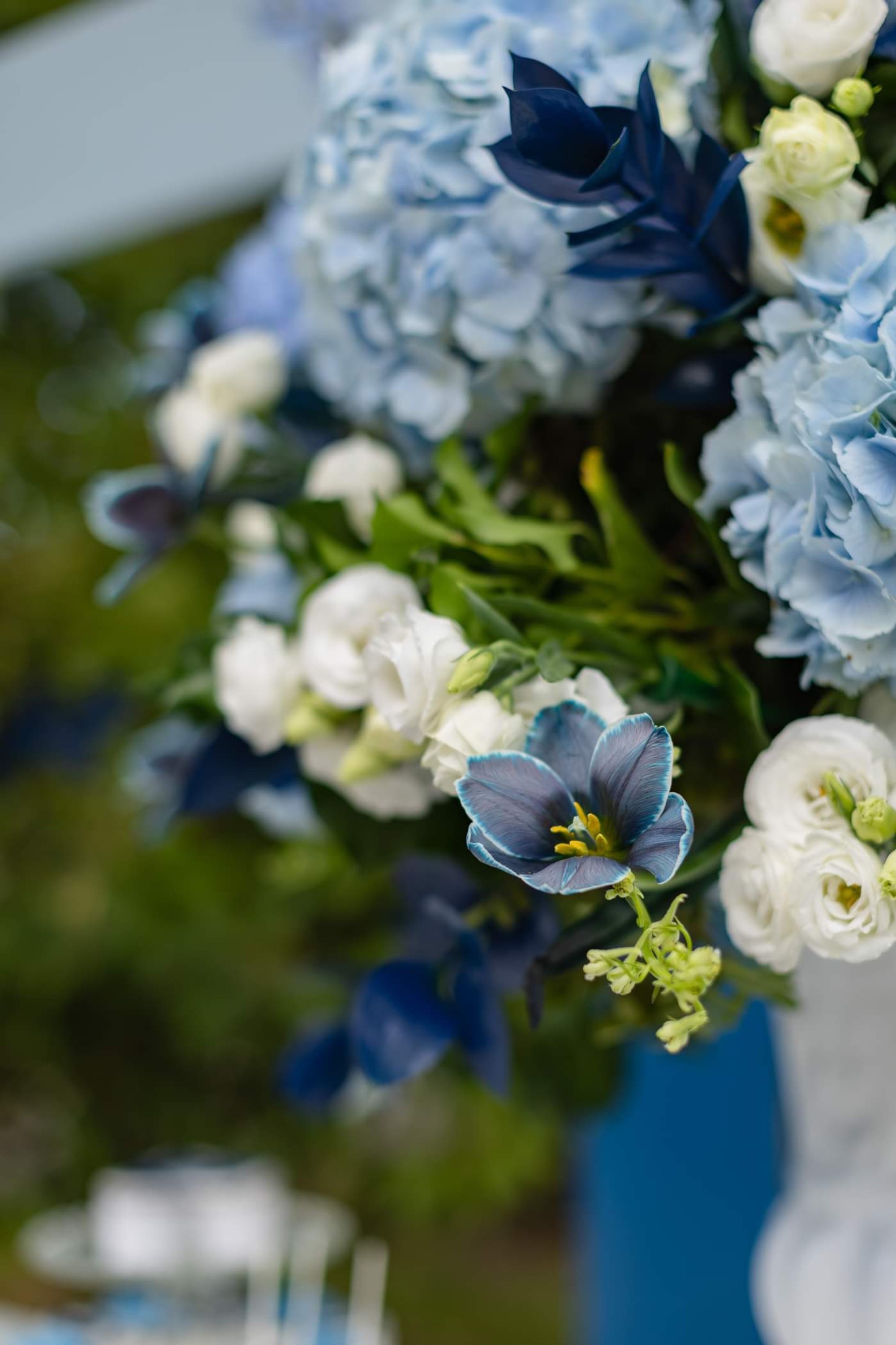 Argiris - Gallery Image 16