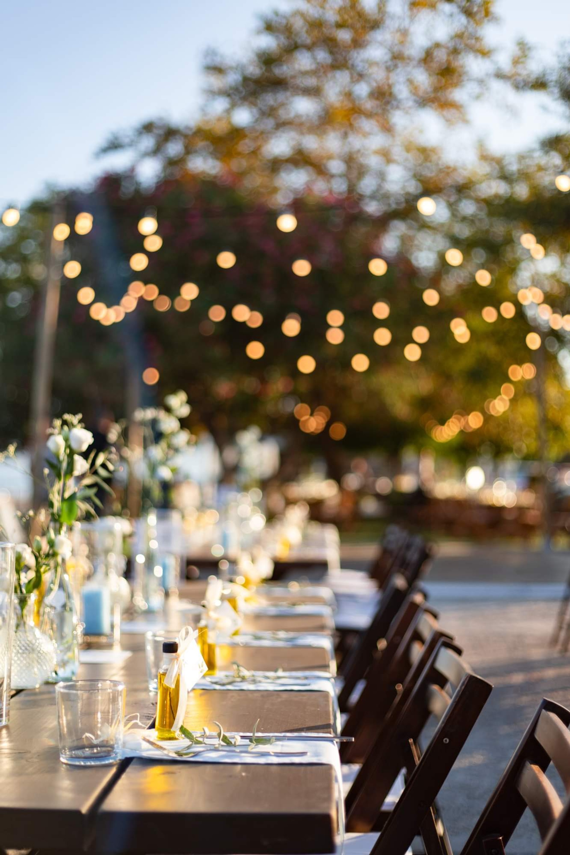 Alexandros & Tess - Gallery Image 20