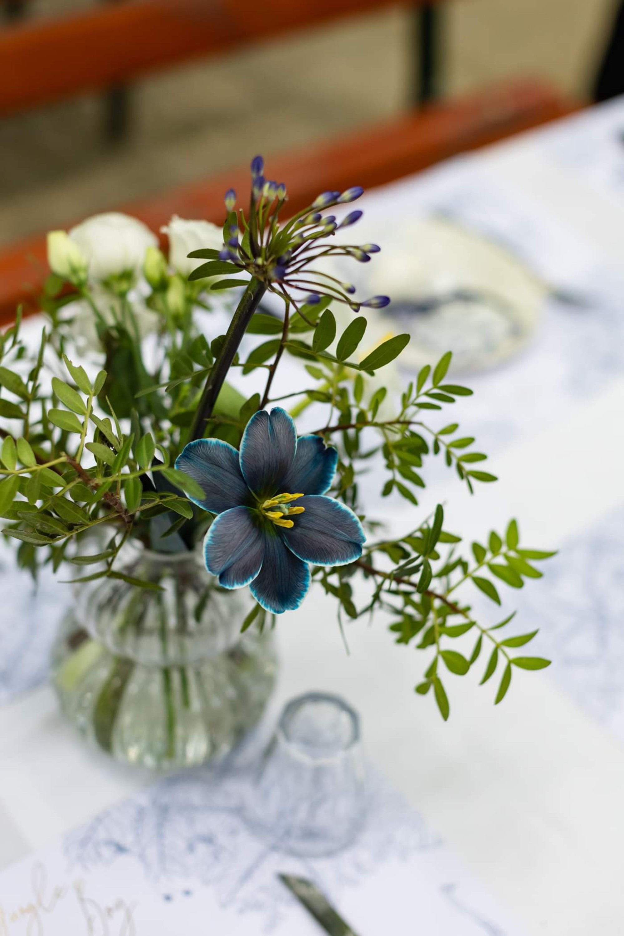 Argiris - Gallery Image 37