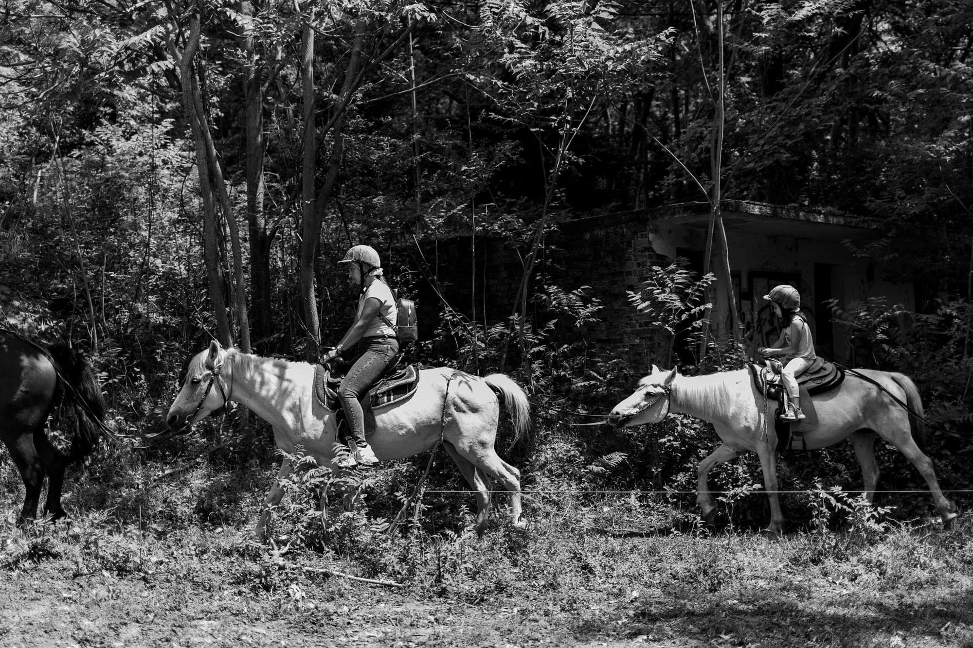 Argiris - Gallery Image 33