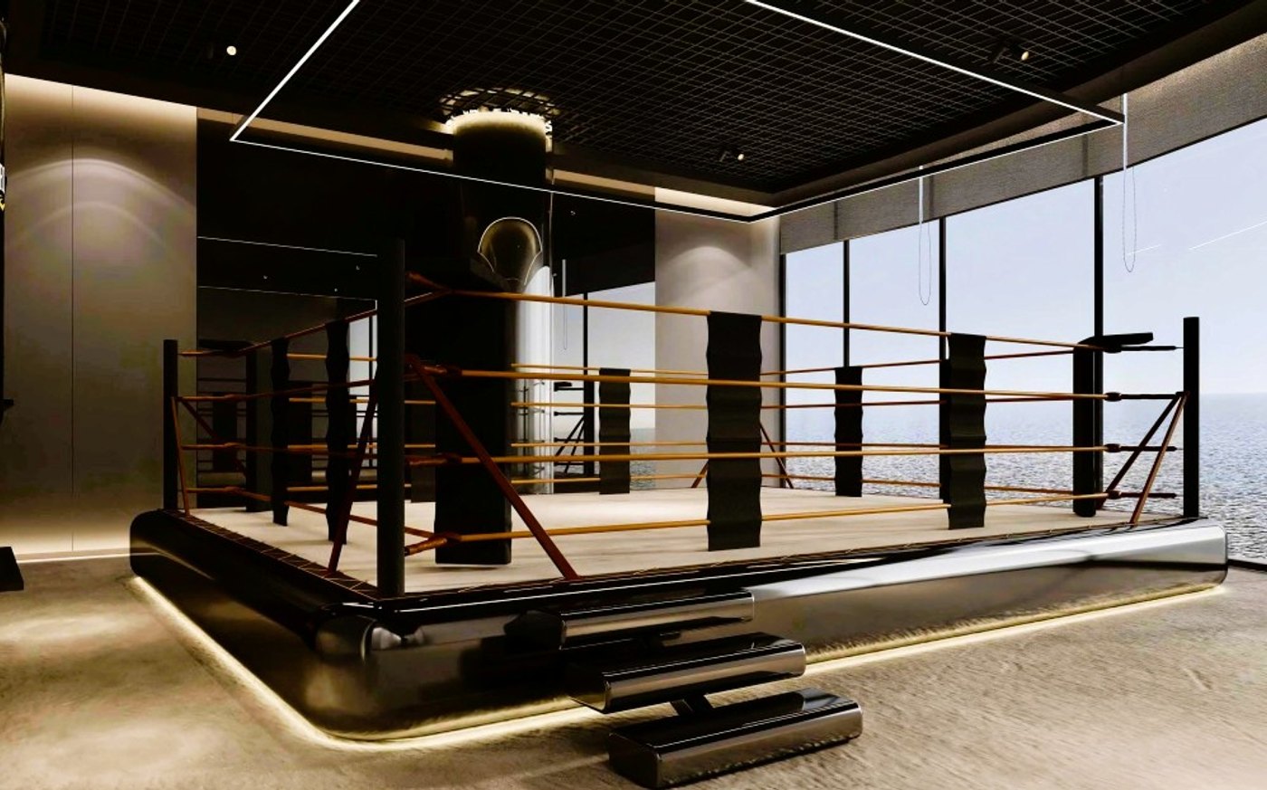 Bild 21 Boxring 