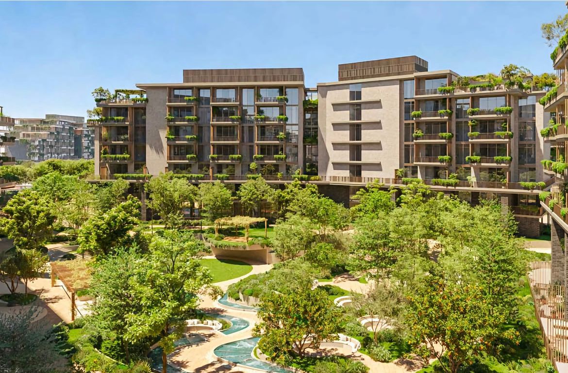 ARANCIA YARDS