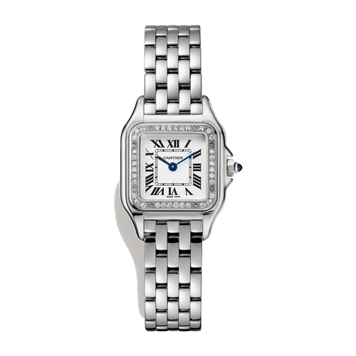 Cartier Panthère de Cartier Small Silver Steel 22mm