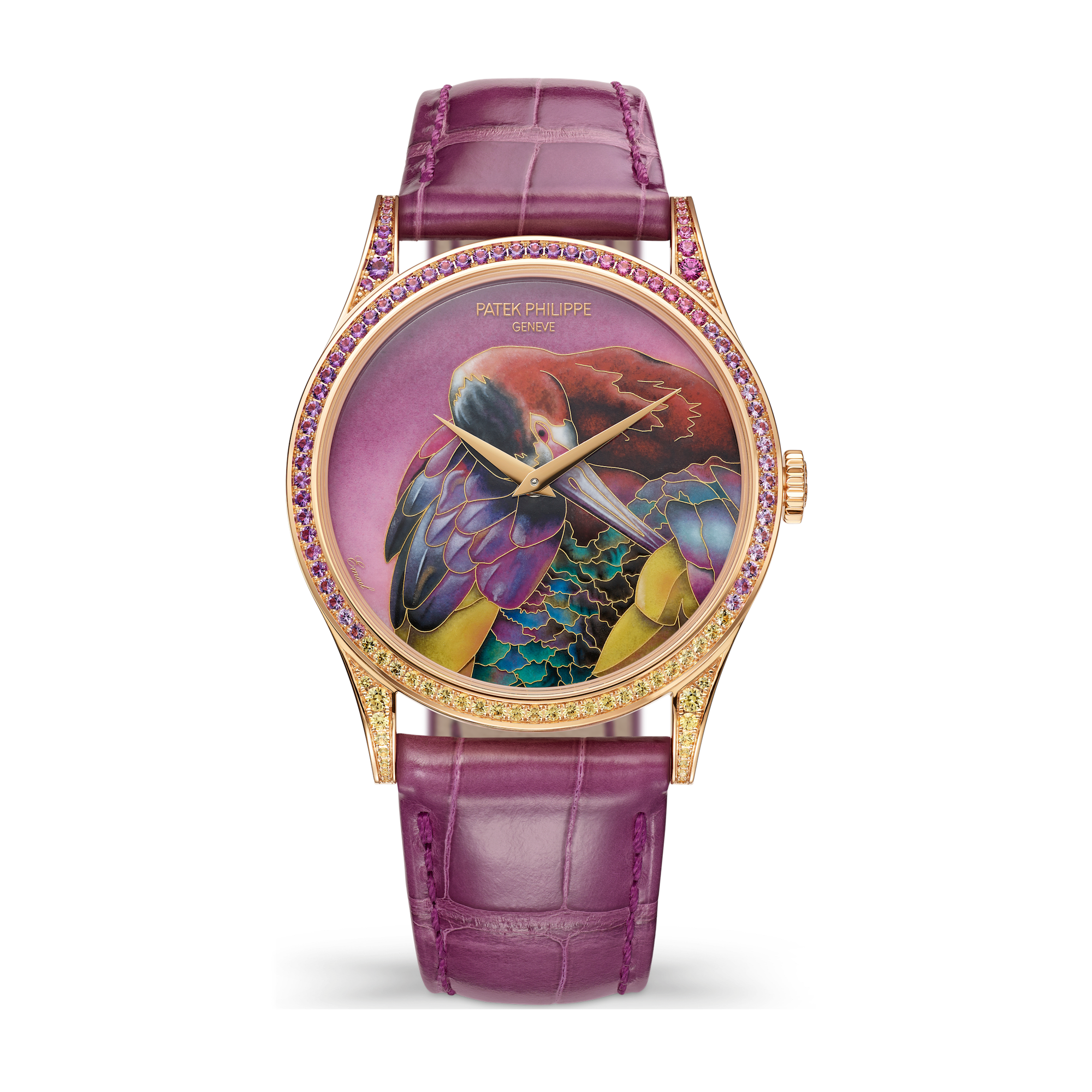 Patek Philippe "White-Faced Ibis" Rare Handcrafts Rose Gold Alligator Leather 38mm