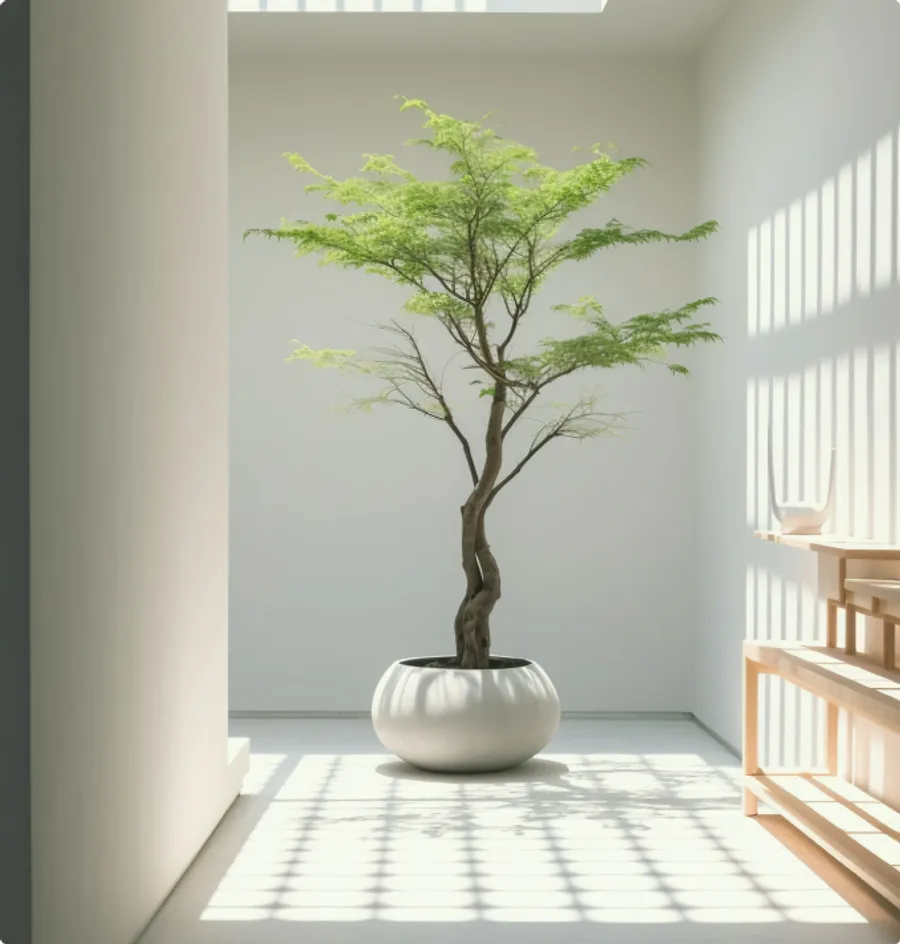 Zdjęcie przedstawia drzewo w doniczce stojące w korytarzu