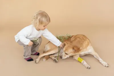 zdjęcie dziecka i psa, mała dziewczynka kładząca polne kwiaty na grzbiecie psa