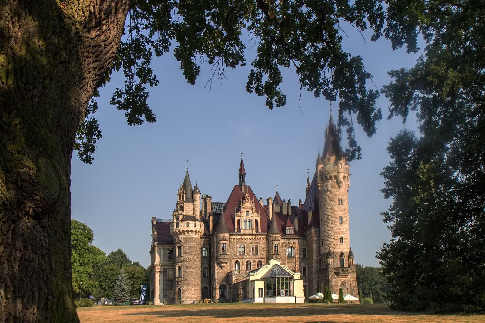 Zamek Moszna widziany spod korony starego drzewa
