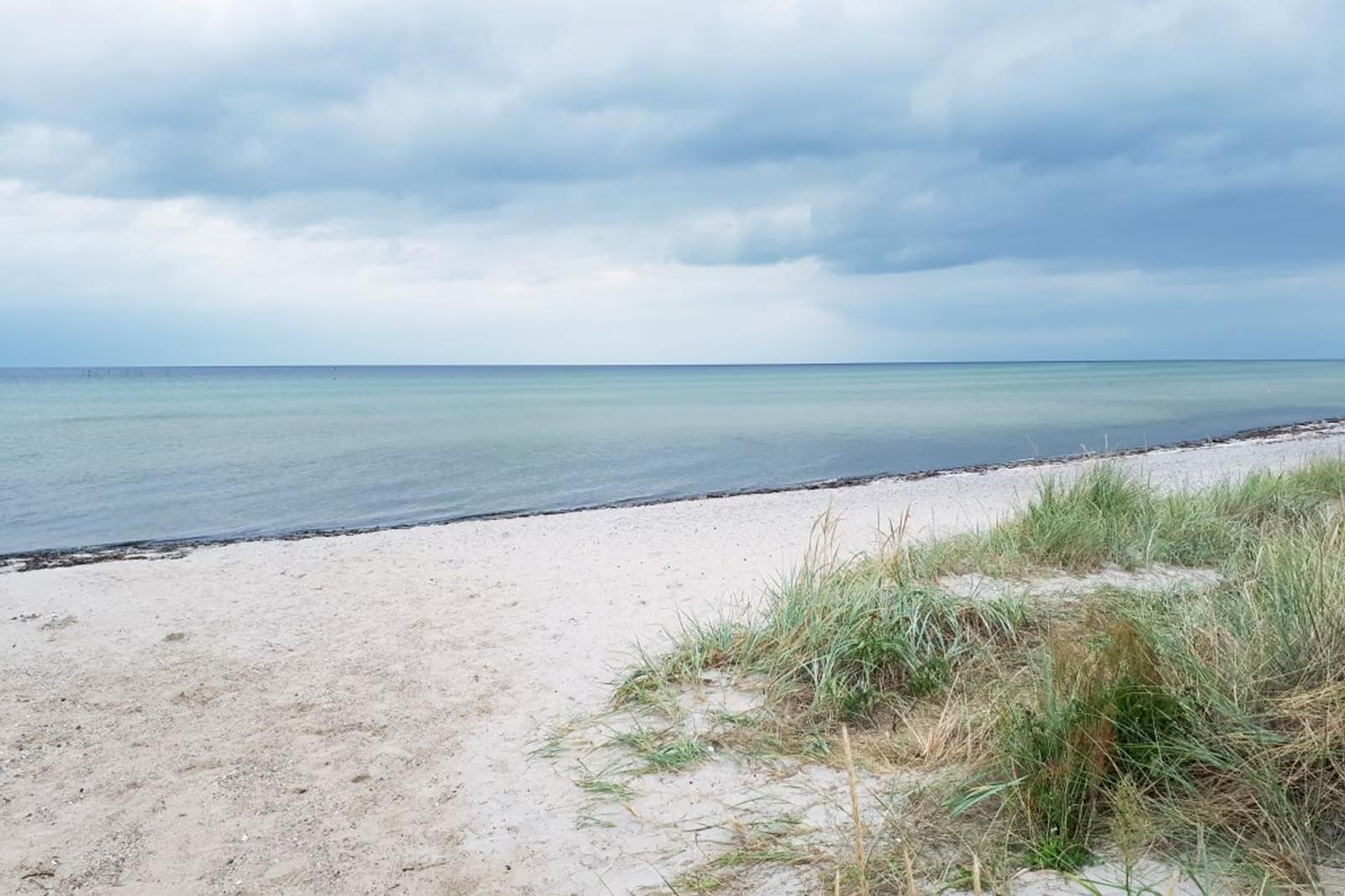 Szeroka biała plaża nad Bałtykiem z wydmami i trawą