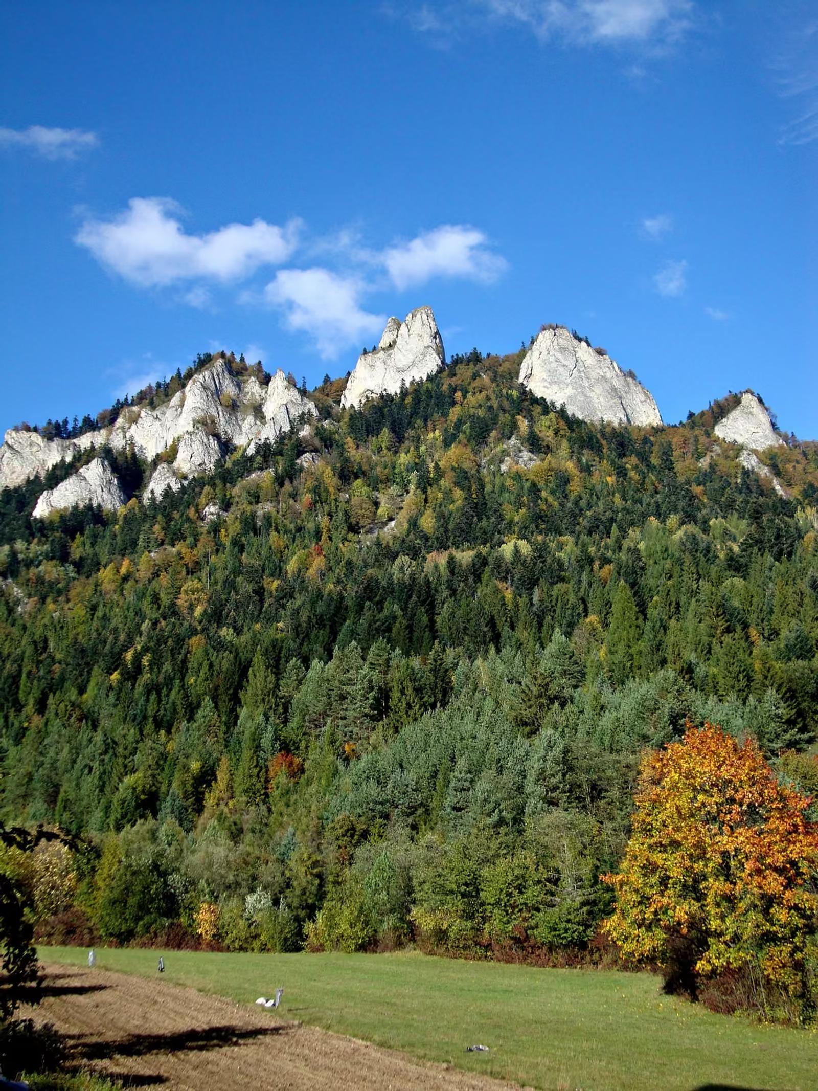Trzy Korony w Pieninach nad zalesionym zboczem