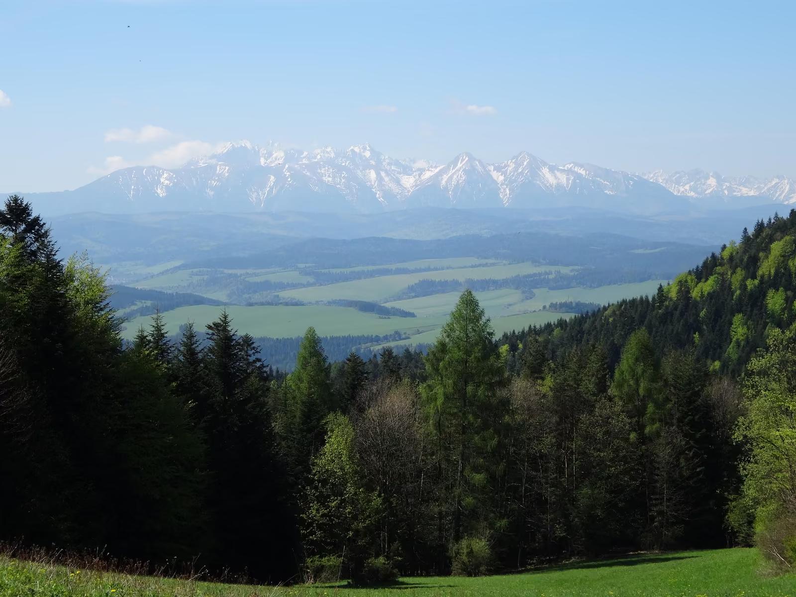 Panorama Tatr ze śnieżnymi szczytami nad zielonymi wzgórzami