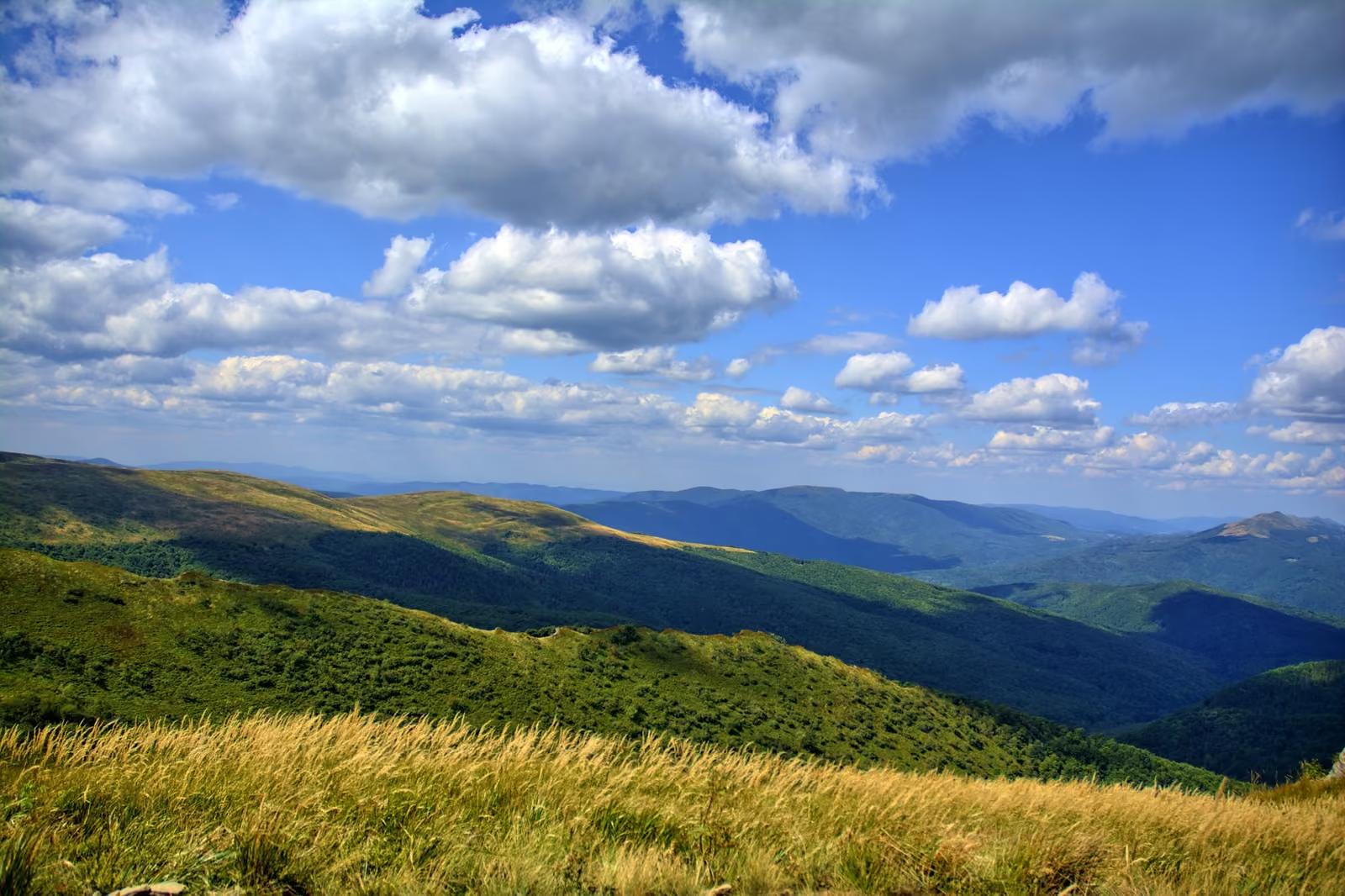 Panorama bieszczadzkich połonin i dolin
