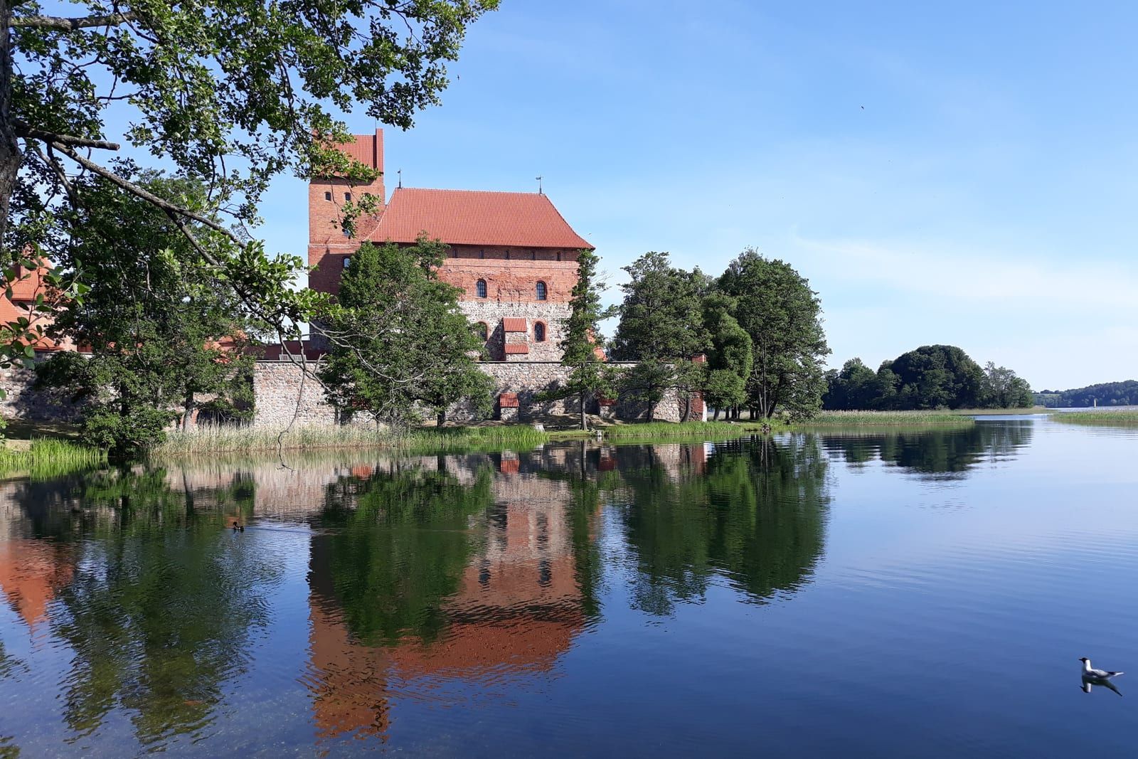Zamek w Trokach nad jeziorem