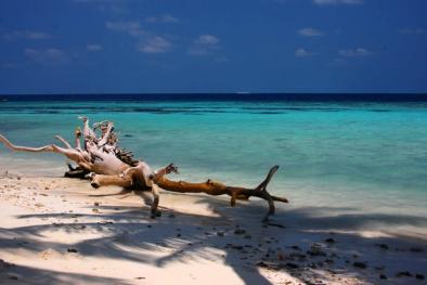 Plaża na wyspie Maafushi na Malediwach