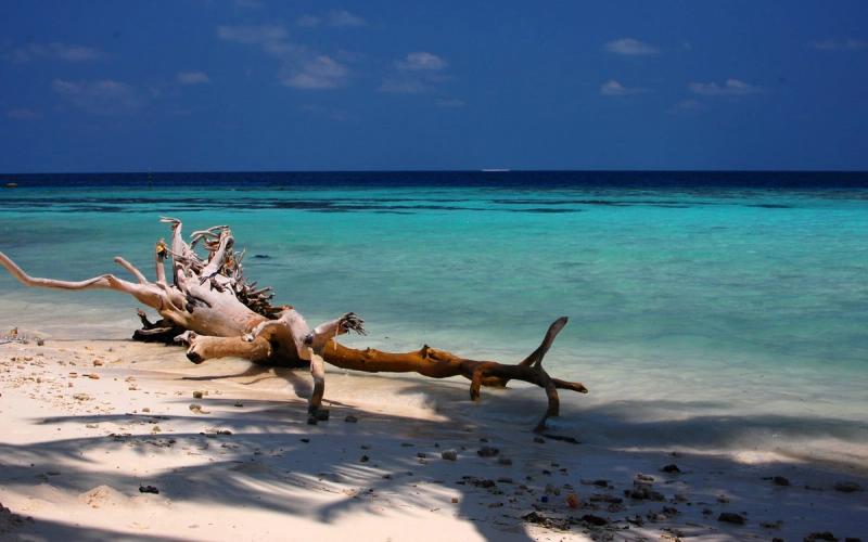 Plaża na wyspie Maafushi na Malediwach