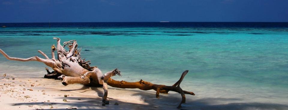 Plaża na wyspie Maafushi na Malediwach