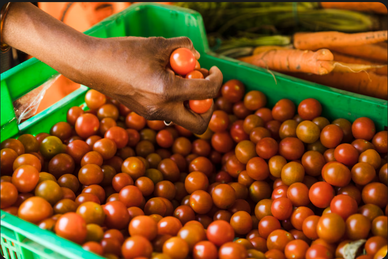 Agriculture and the African Economy: Why Food Security Is an Investment Opportunity