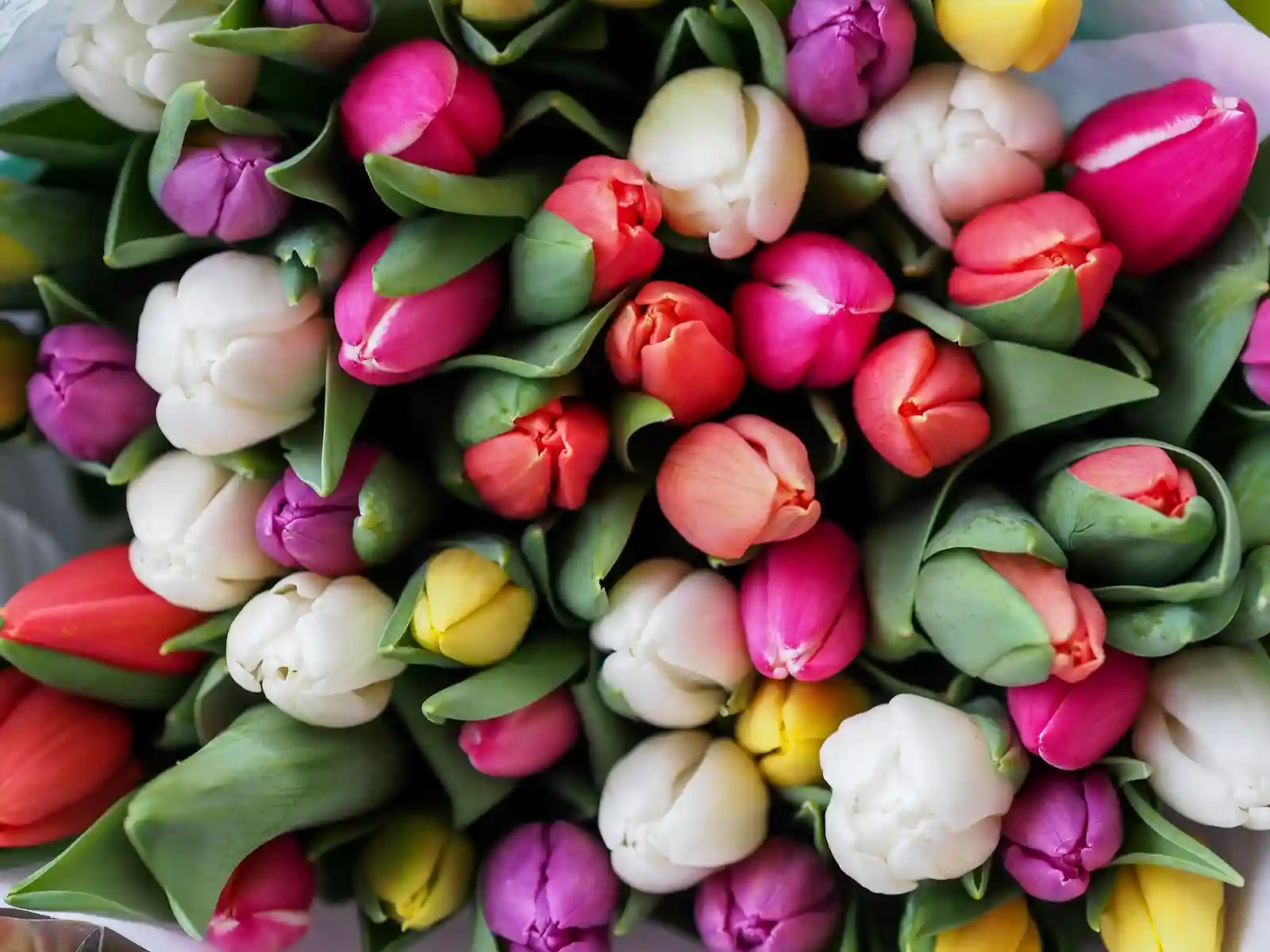 It's taking its sweet time but spring is here!
