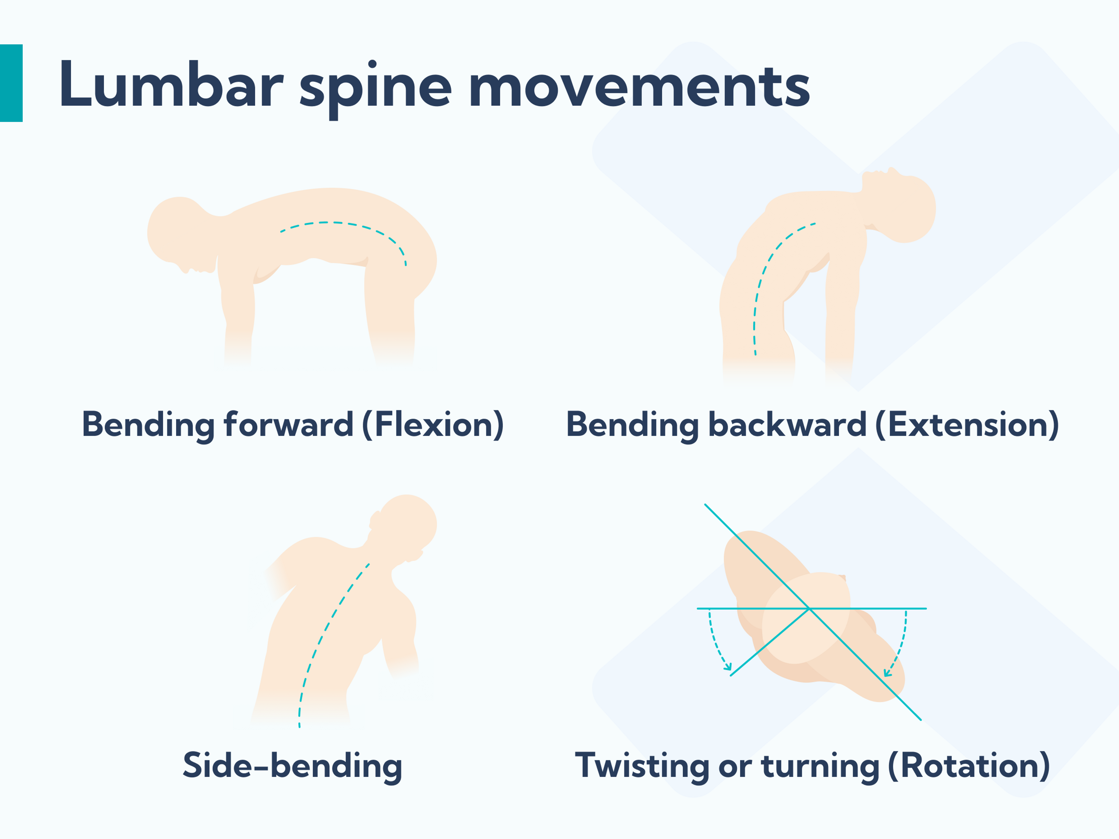 Spring Forward Pain A comprehensive overview of lower back pain: Symptoms, causes, and best ...
