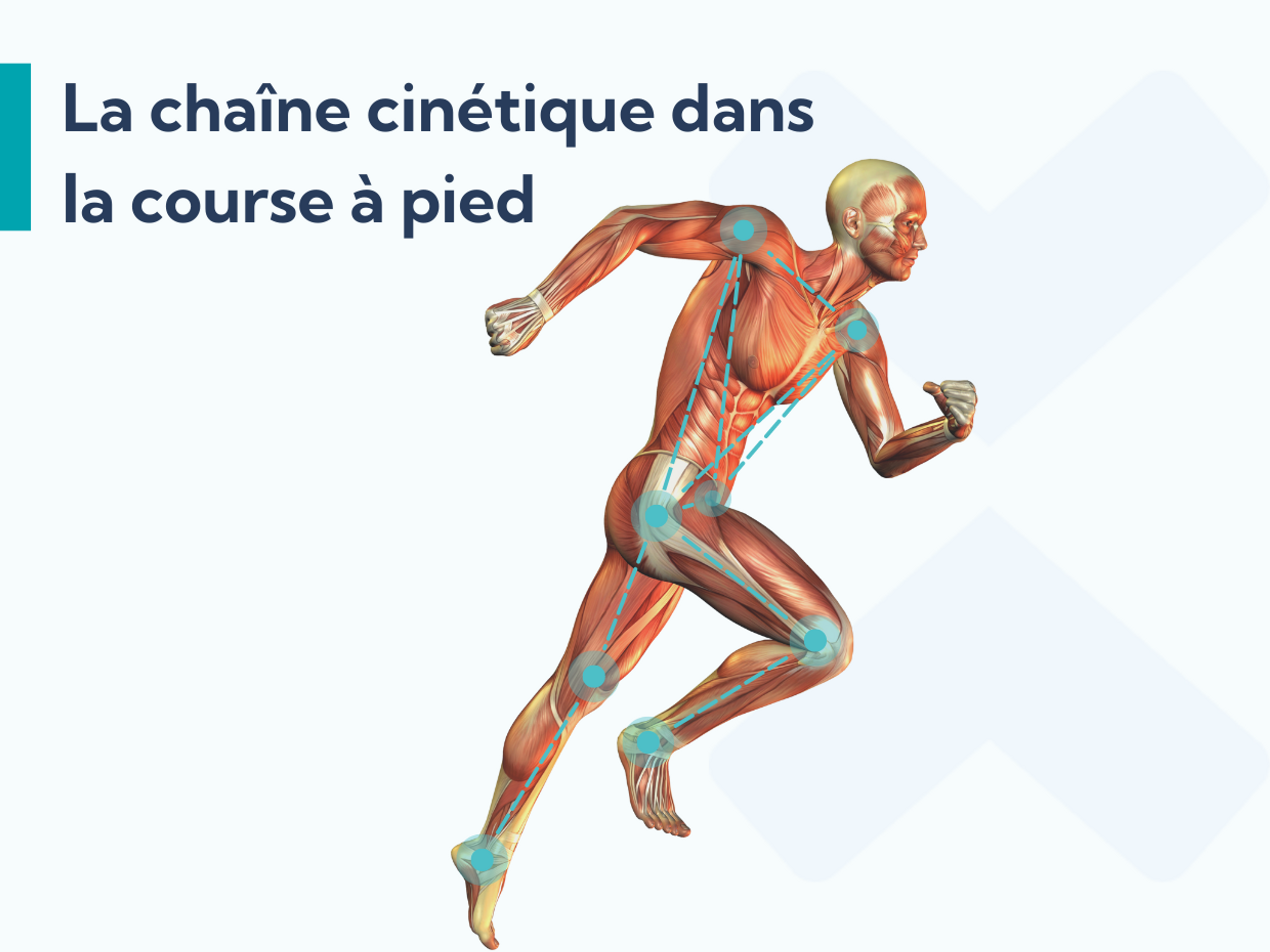 Les exercices de hanche sont utiles pour la fasciite plantaire, car ils améliorent le fonctionnement de la chaîne cinétique lorsque vous courez.