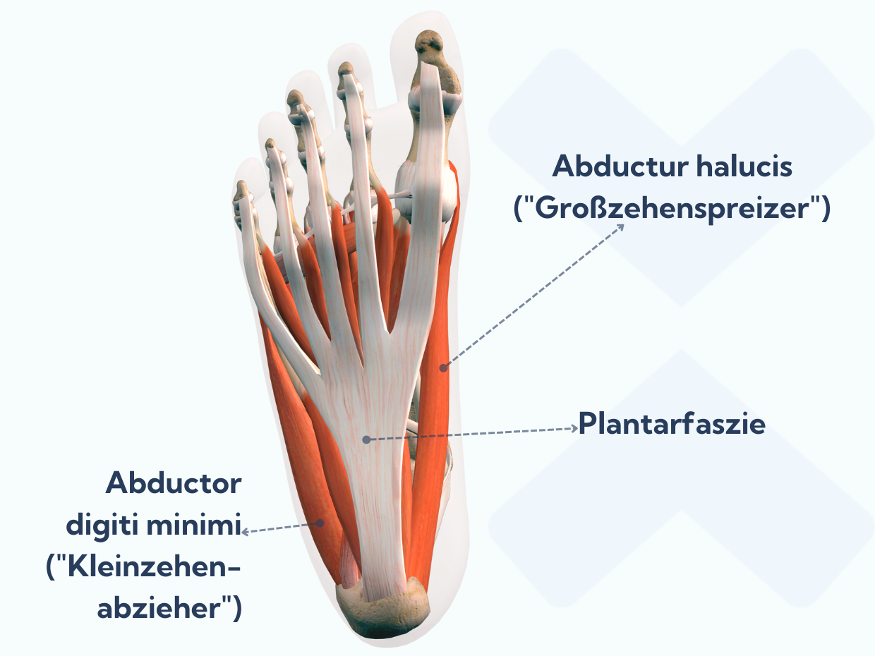 Plantarfasziitis: Diese Übungen Stärken Deine Füße