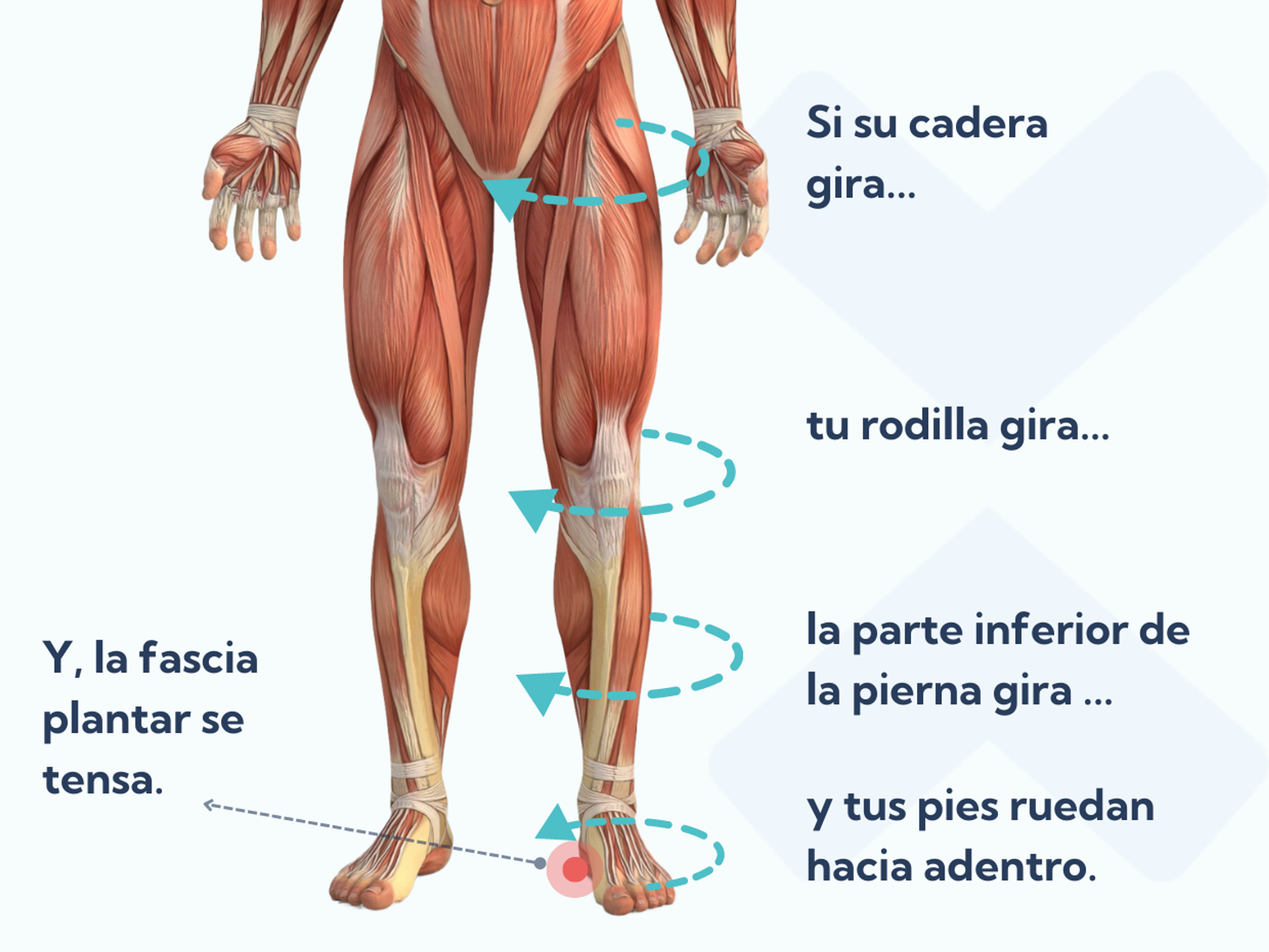 Cómo puede la alineación del cuerpo y el control de las caderas ayudar a tratar la fascitis plantar?