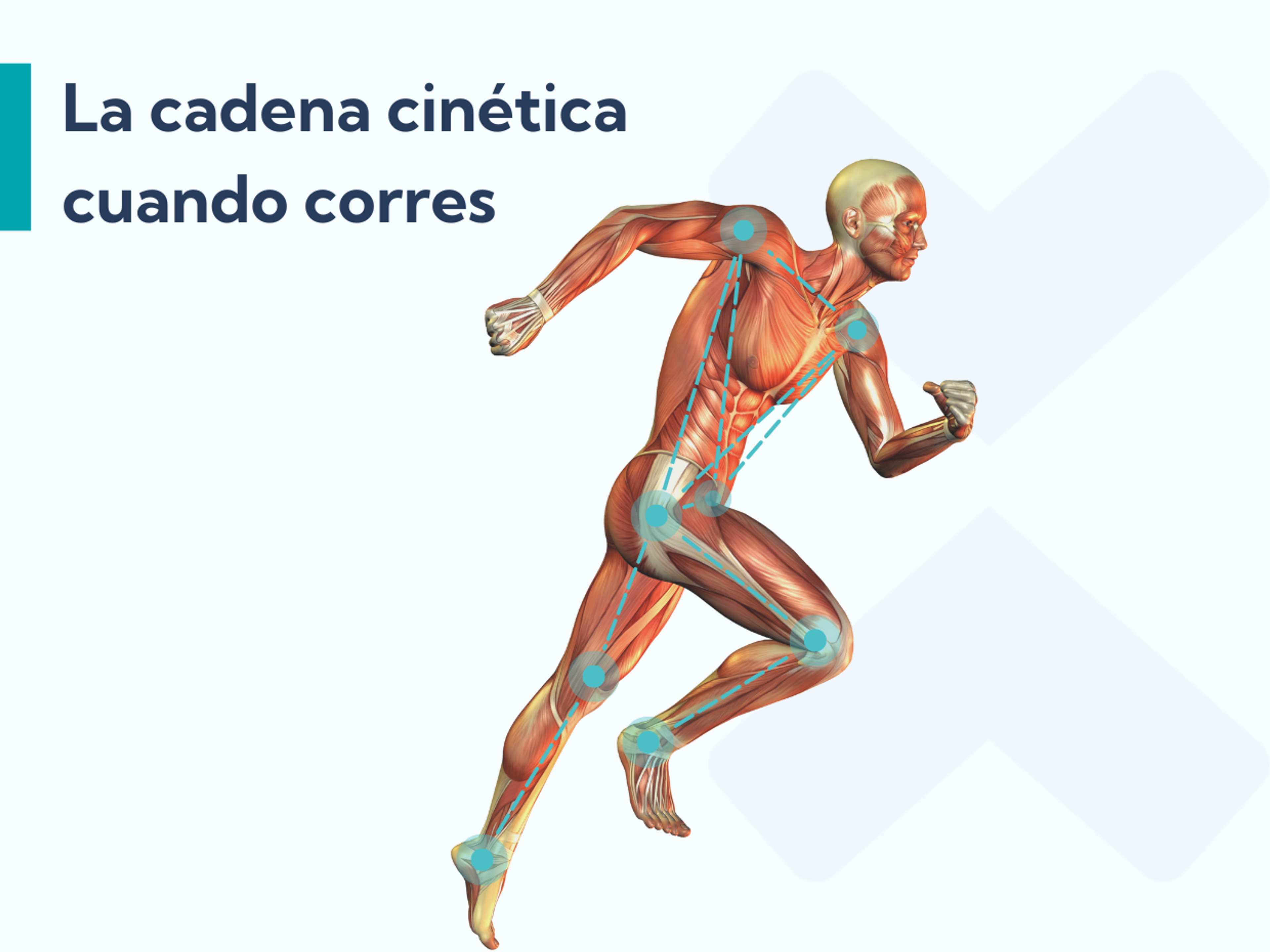 Los ejercicios para cadera son de gran ayuda para tratar la fascitis plantar porque mejoran el funcionamiento de la cadena cinética cuando corres.