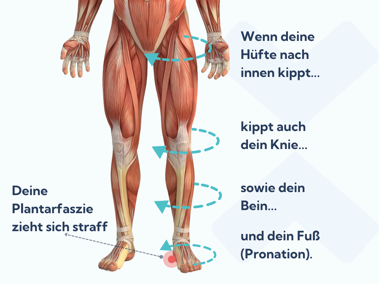 STEELER Frontbügel Für Suzuki Grand Vitara 2006-2015 - Schwarz Mit Querstab