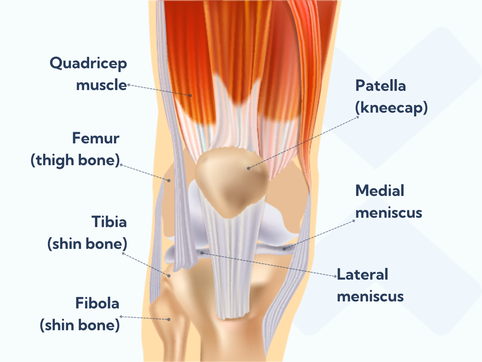 exercises-for-a-sprained-knee-what-when-and-why