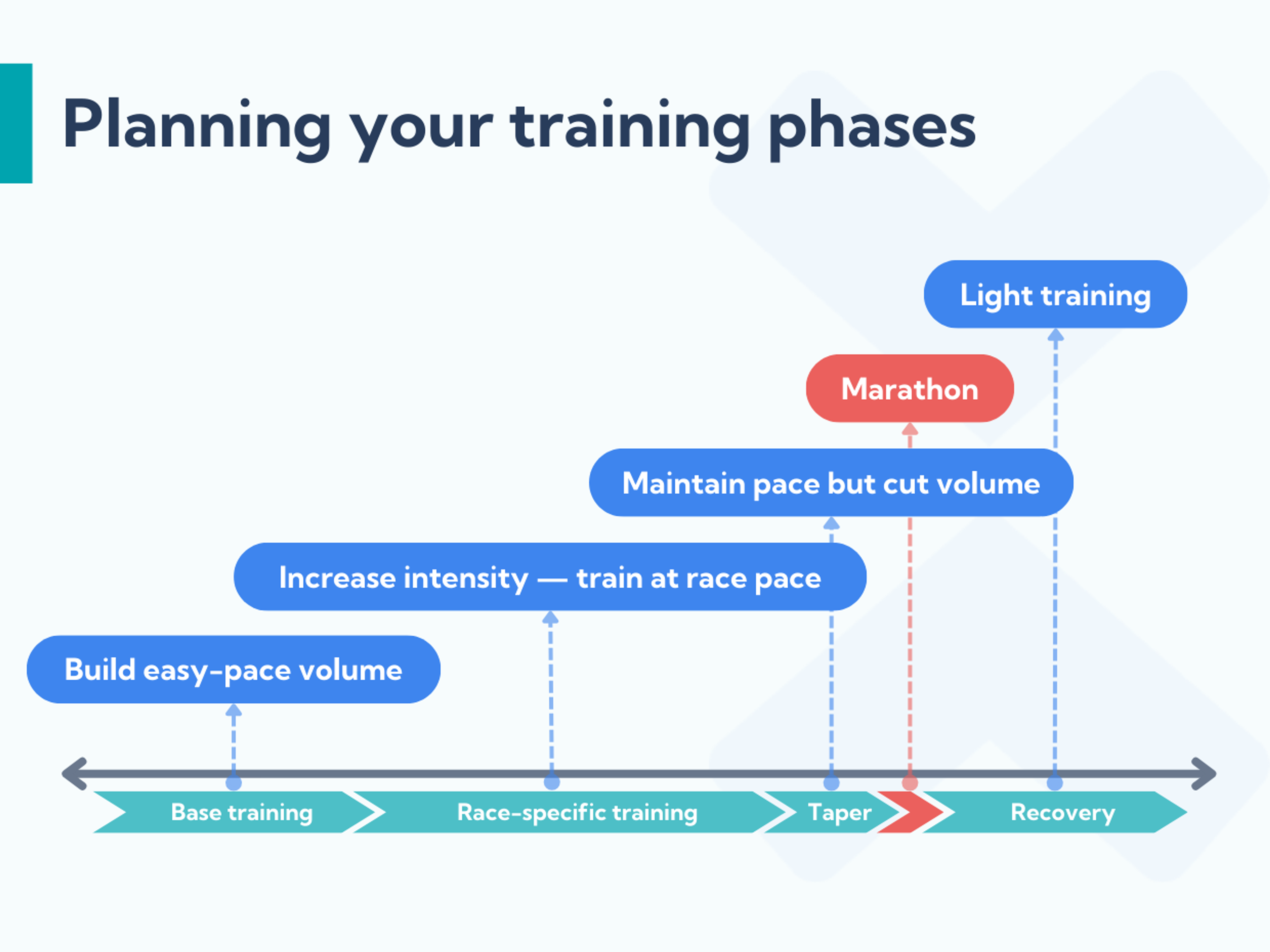 Marathon training phases