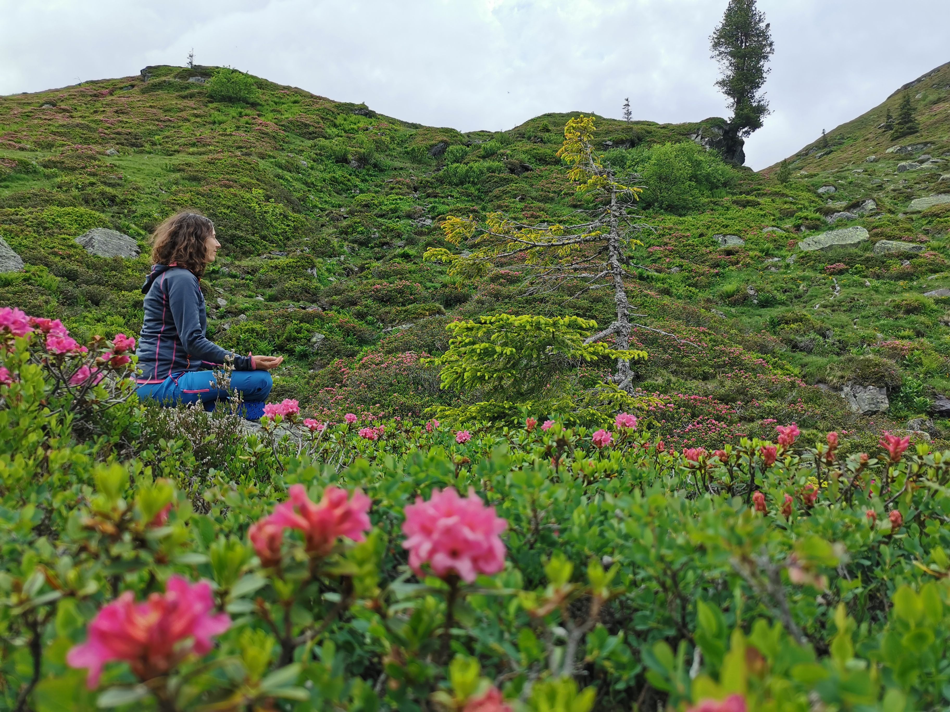 Lass die Seele baumeln bei diesem Ausblick