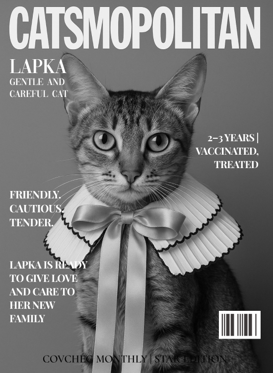 Лапка4