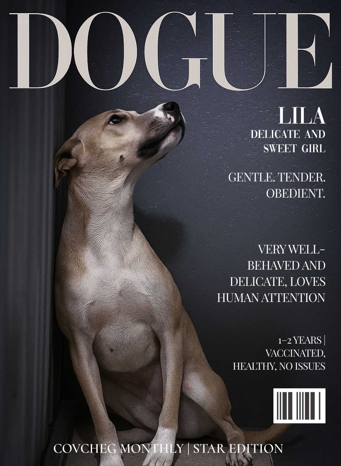 ЛІЛА1