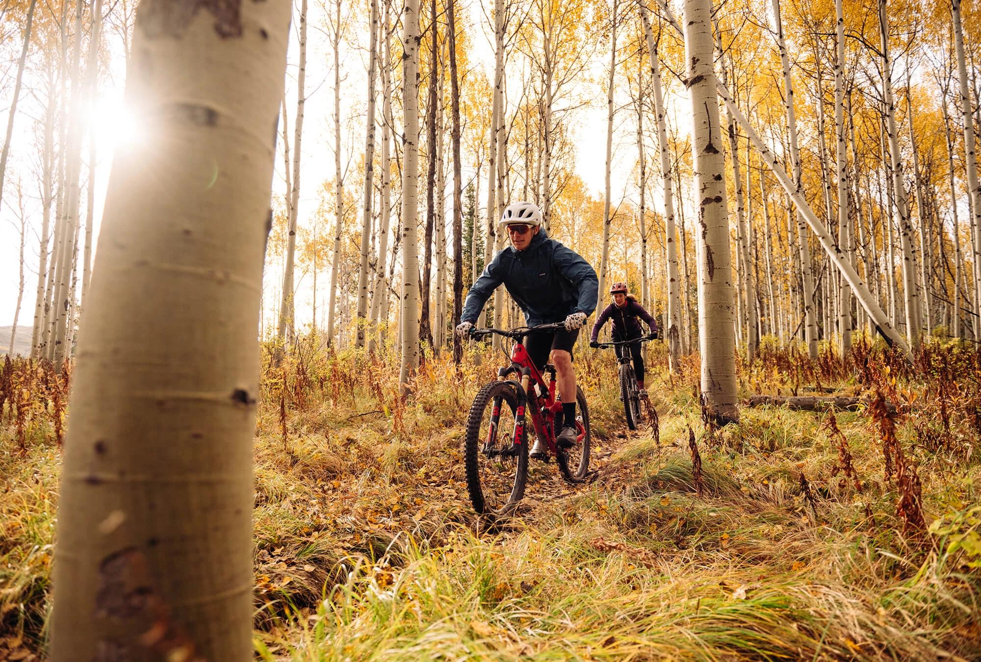 Fall foliage and trail access along Jackson Hole valley near Cadence residences