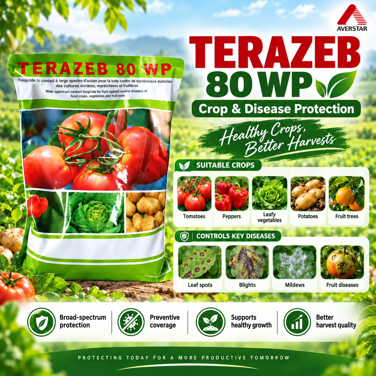 Mancozeb 80% WP Fungicide packaging reference view 2