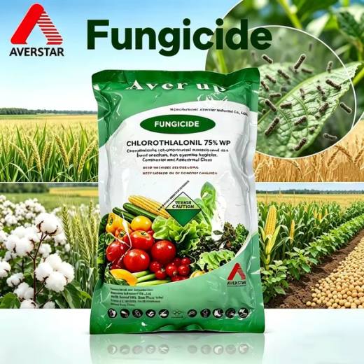 Chlorothalonil 75% WP Fungicide product and packaging image