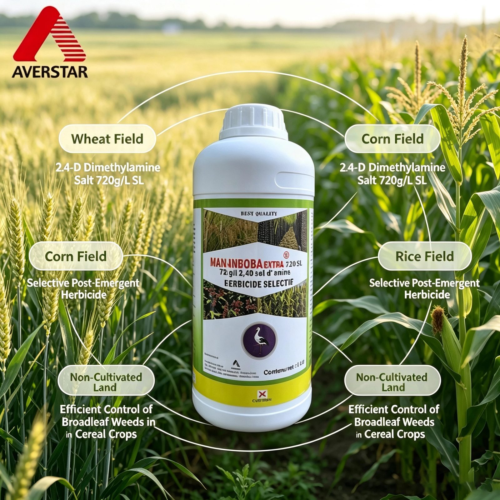 2,4-D DMA Salt Herbicide: A Buyer Verification Guide