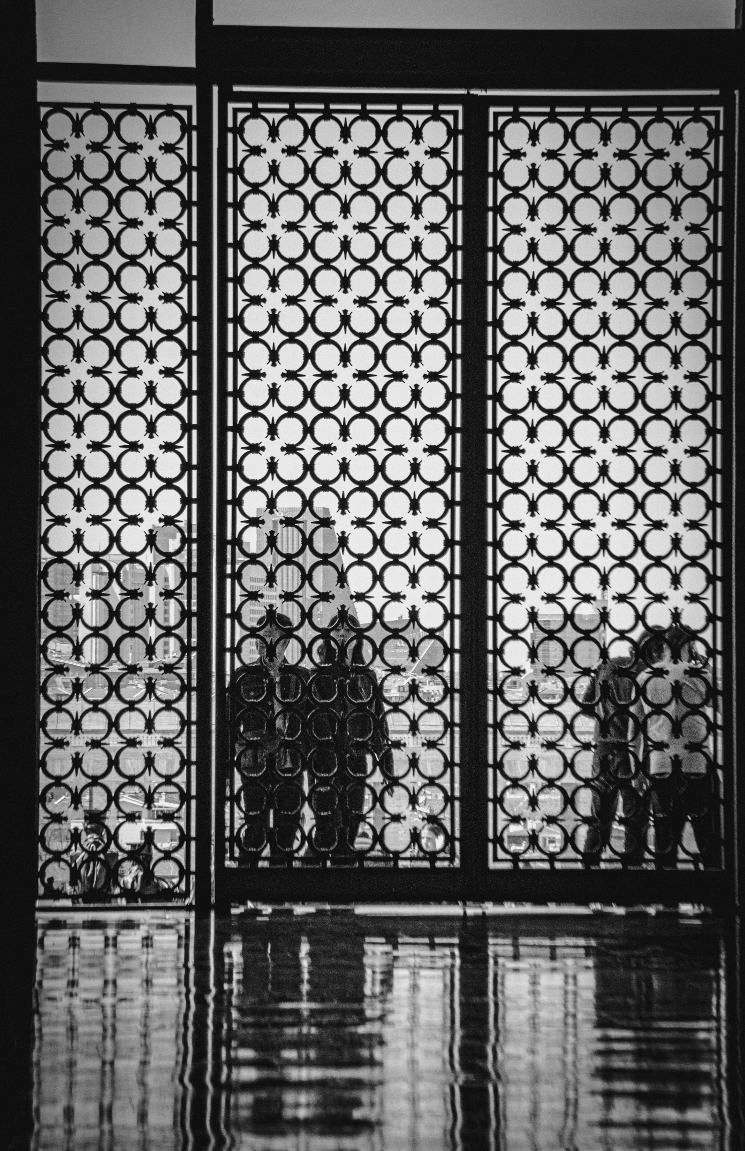 Screens / Guards / Grills