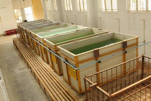 Dip Tank & Phosphating Line at Chemitech Multiservices