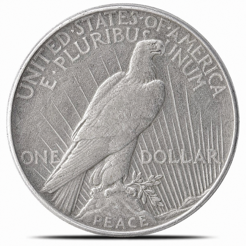 Silver Dollar (Mixed Types - Cull) view 2